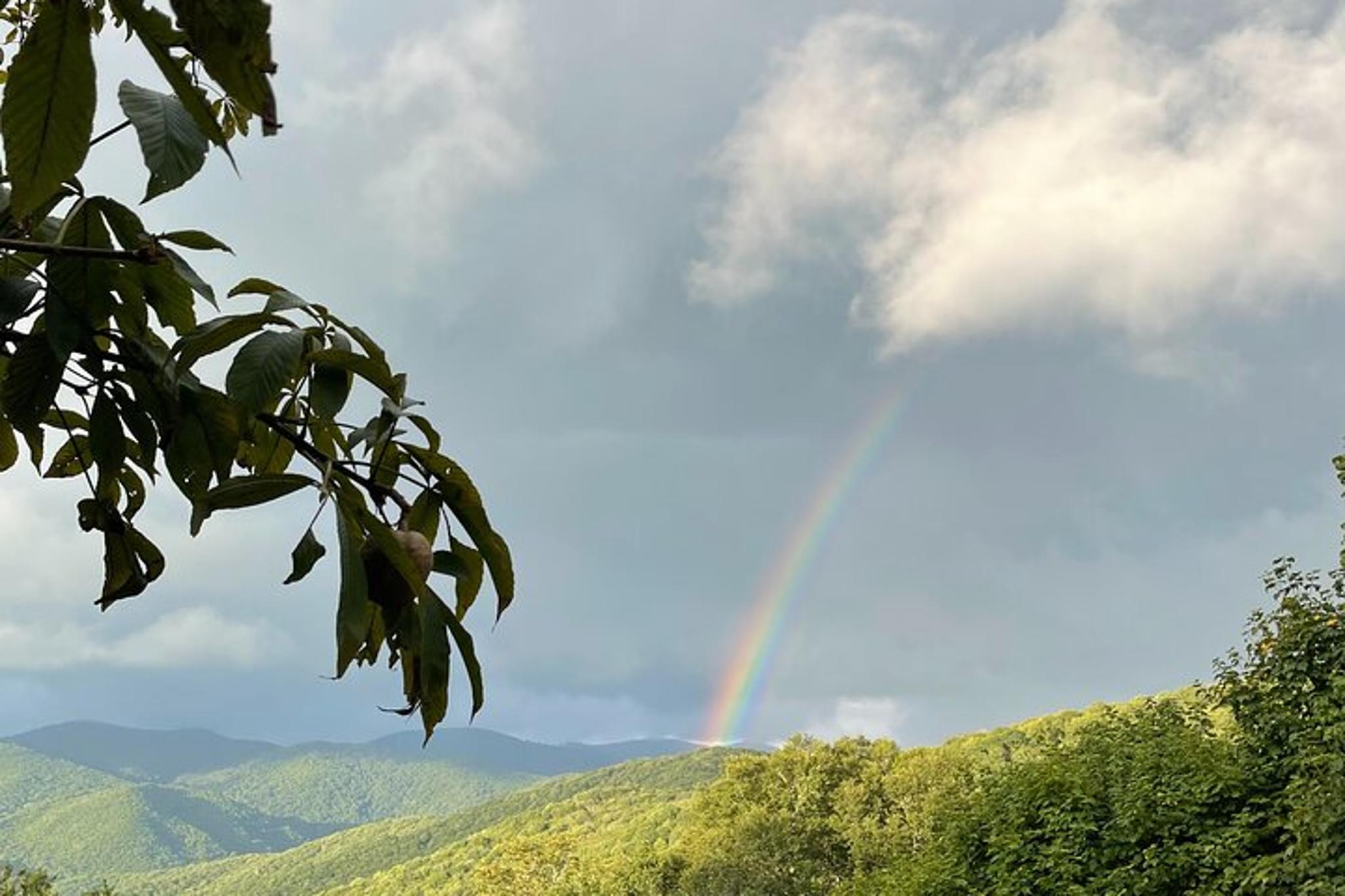Maggie Valley Safari Tour on the Blue Ridge Parkway - Image 5