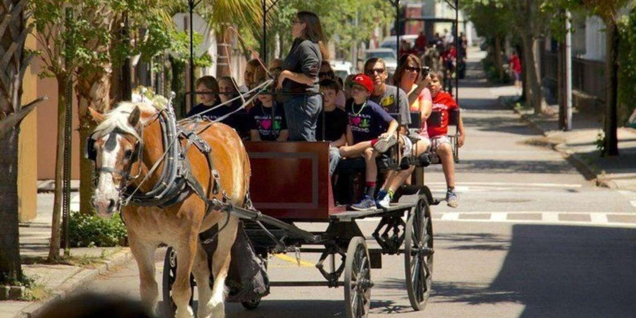 Charleston Historic Horse and Carriage Tour