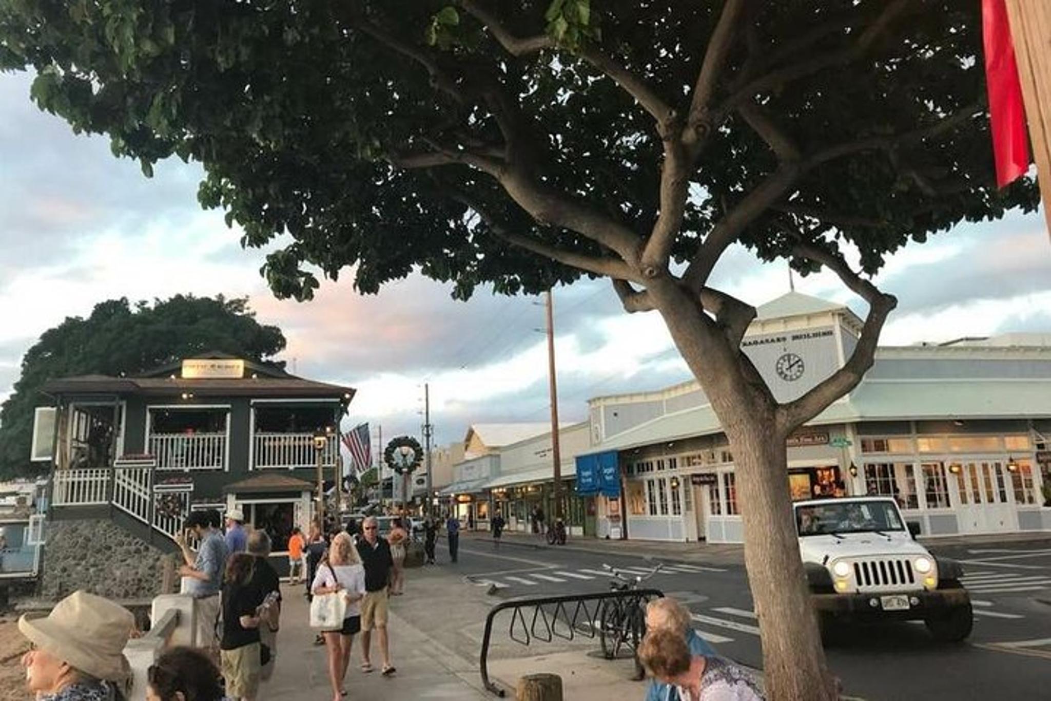 Maui Private Island Tour - Image 2