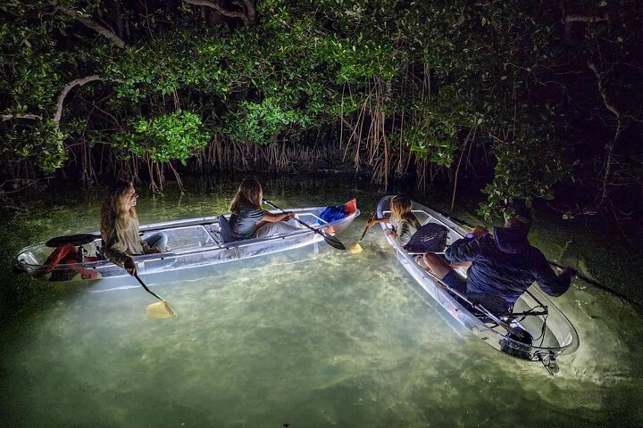 Sarasota Clear Kayak LED Night Tour