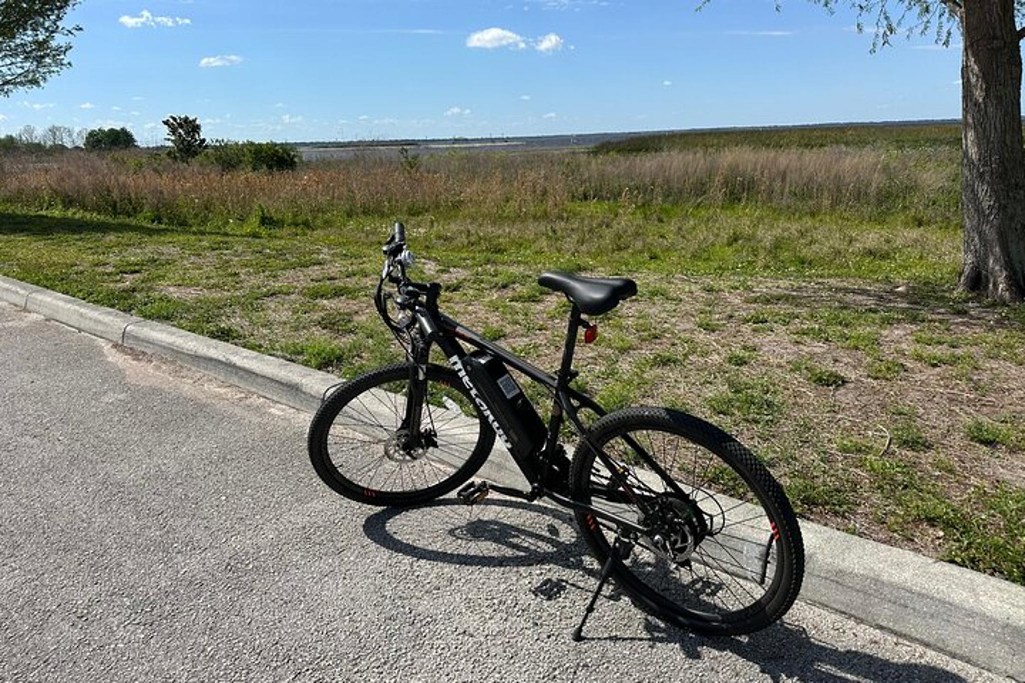 Kissimmee Electric Bike Lakefront Tour 3 hr - Image 4