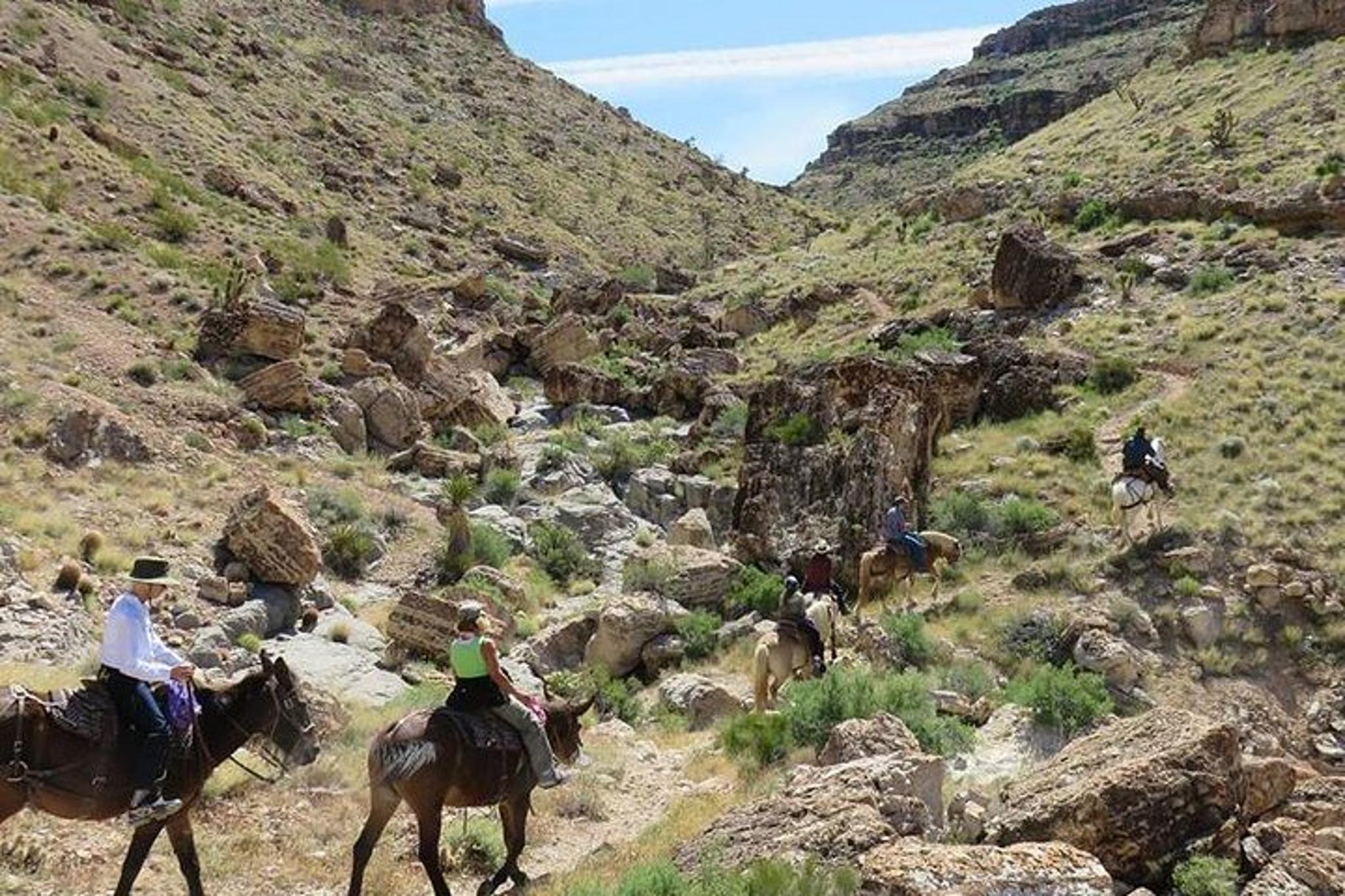 Las Vegas Horseback Riding in Red Rock Canyon 2 hr - Image 3