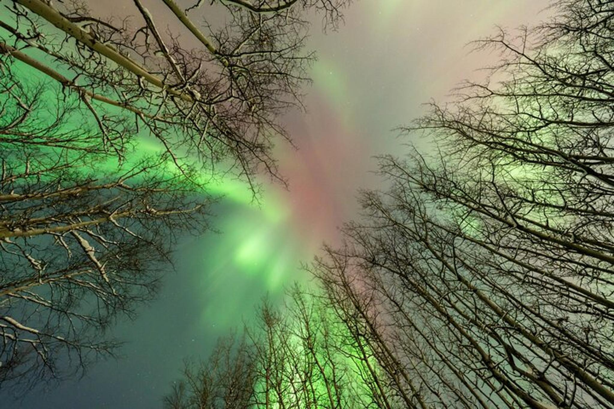 Aurora Chasing Tour in Northern Lights - Image 6