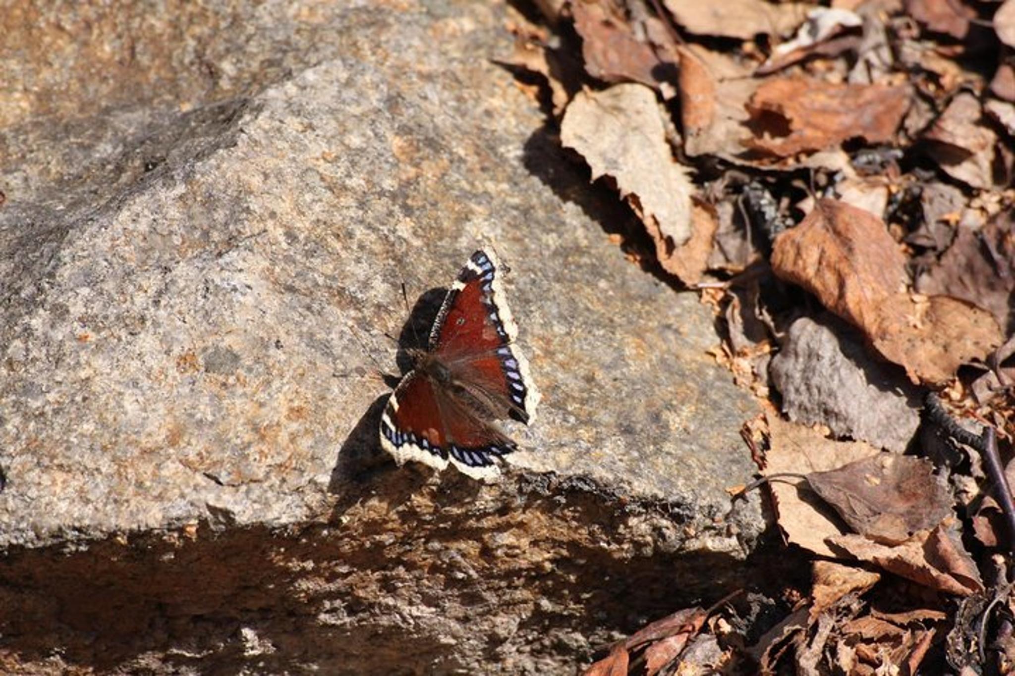 White Mountains Hiking Adventure - Image 5