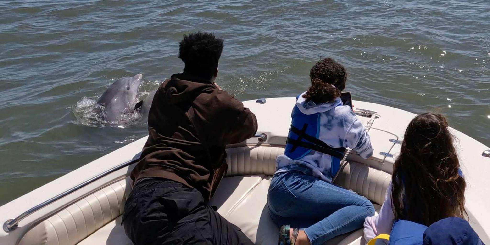 Hilton Head Island Dolphin and Nature Tour - Image 6