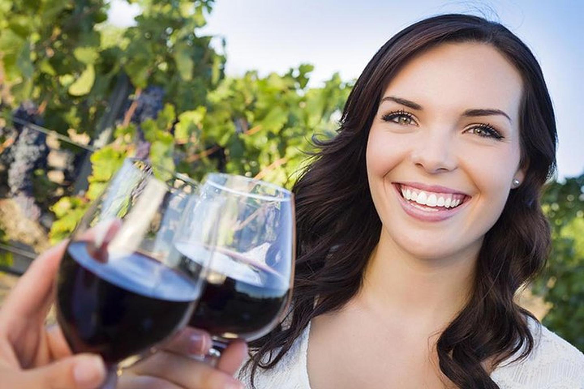 Niagara Falls Private Airport Transfer from Buffalo - Image 6