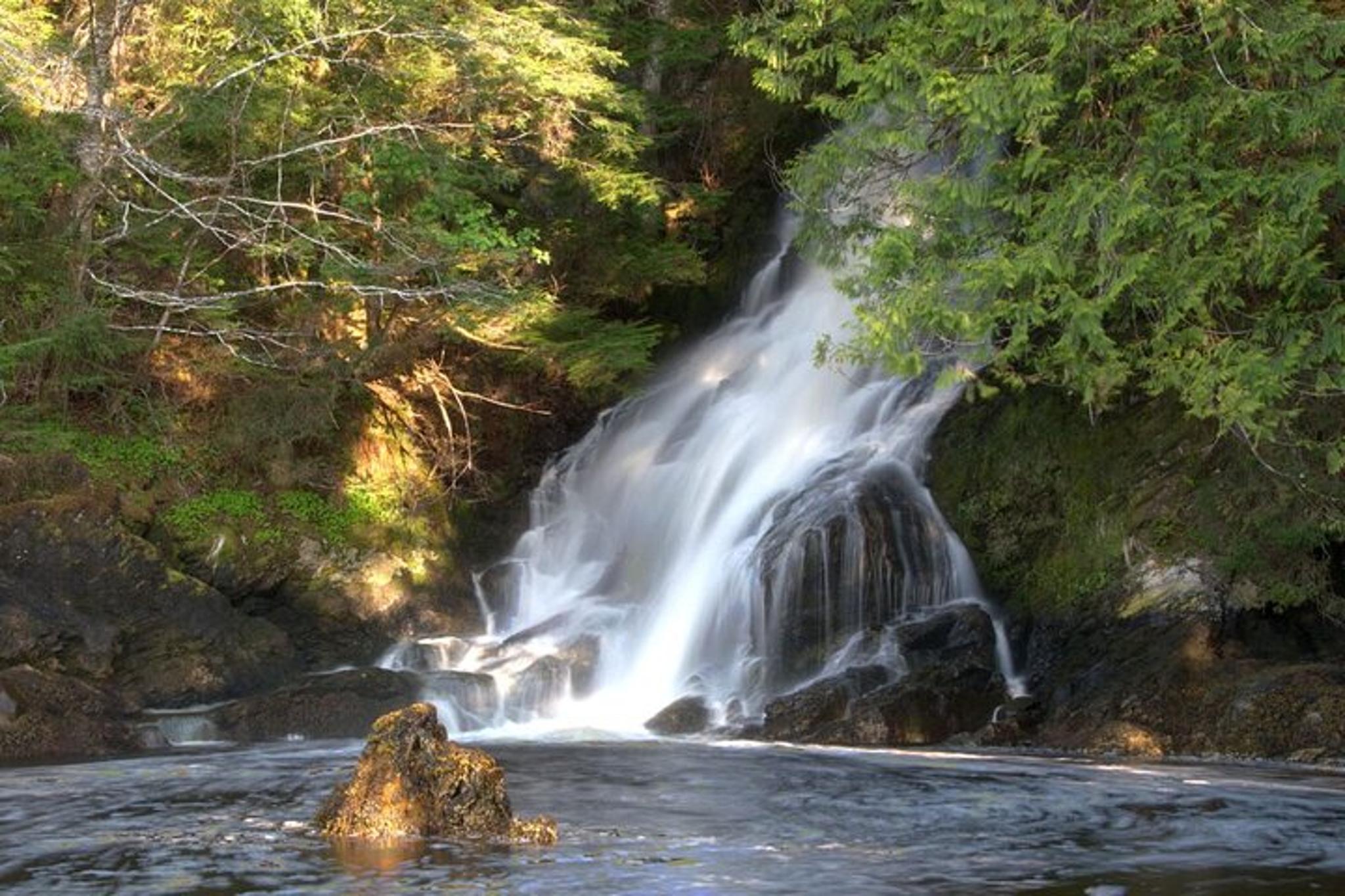 Ketchikan Private Tour with Pick Up - Image 3