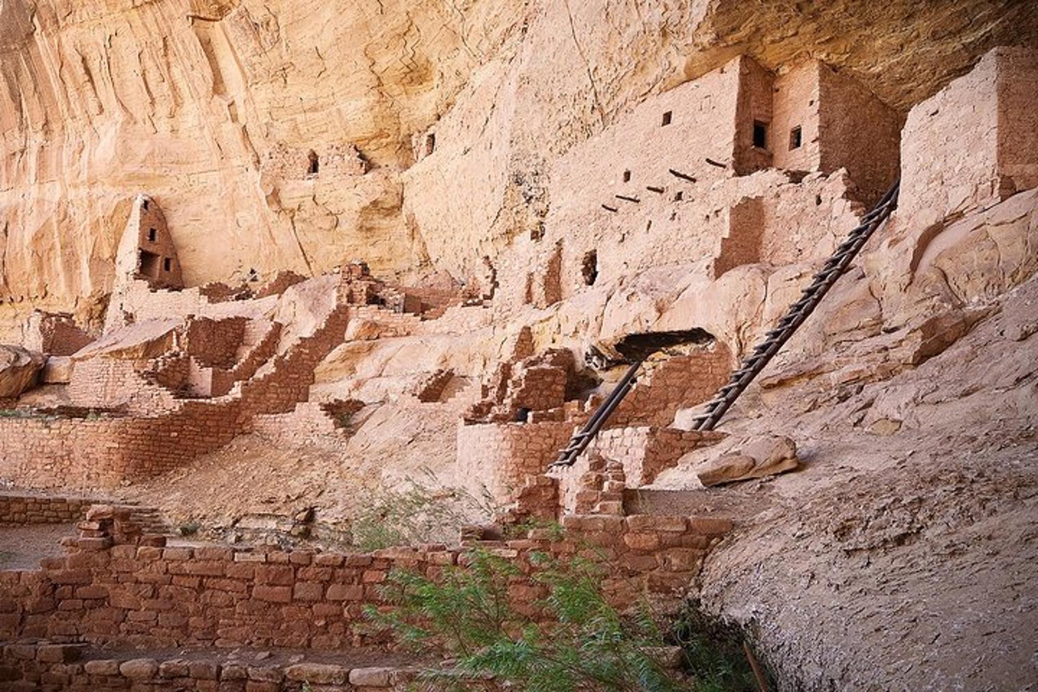 Mesa Verde Cliff Palace Tour with Lunch - Image 4