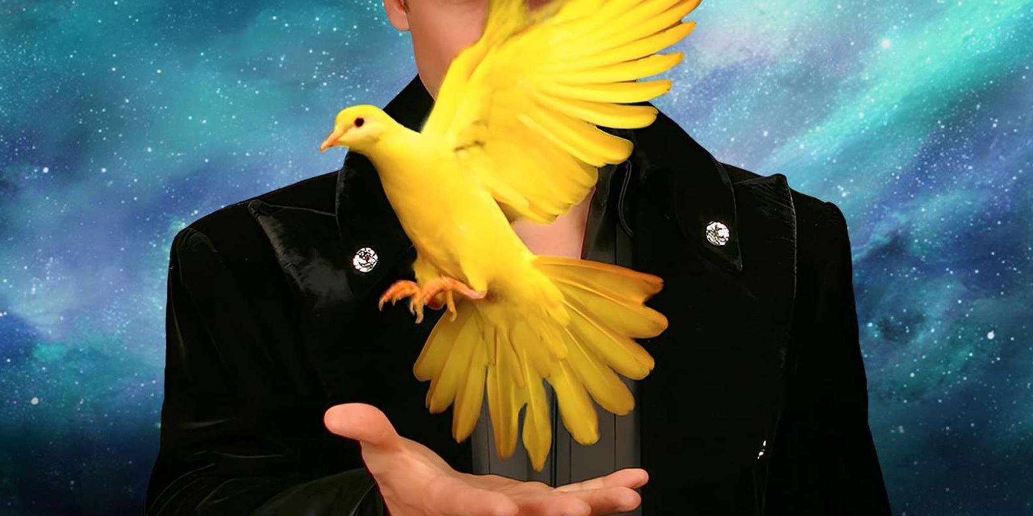 Las Vegas Magic Show - Image 1