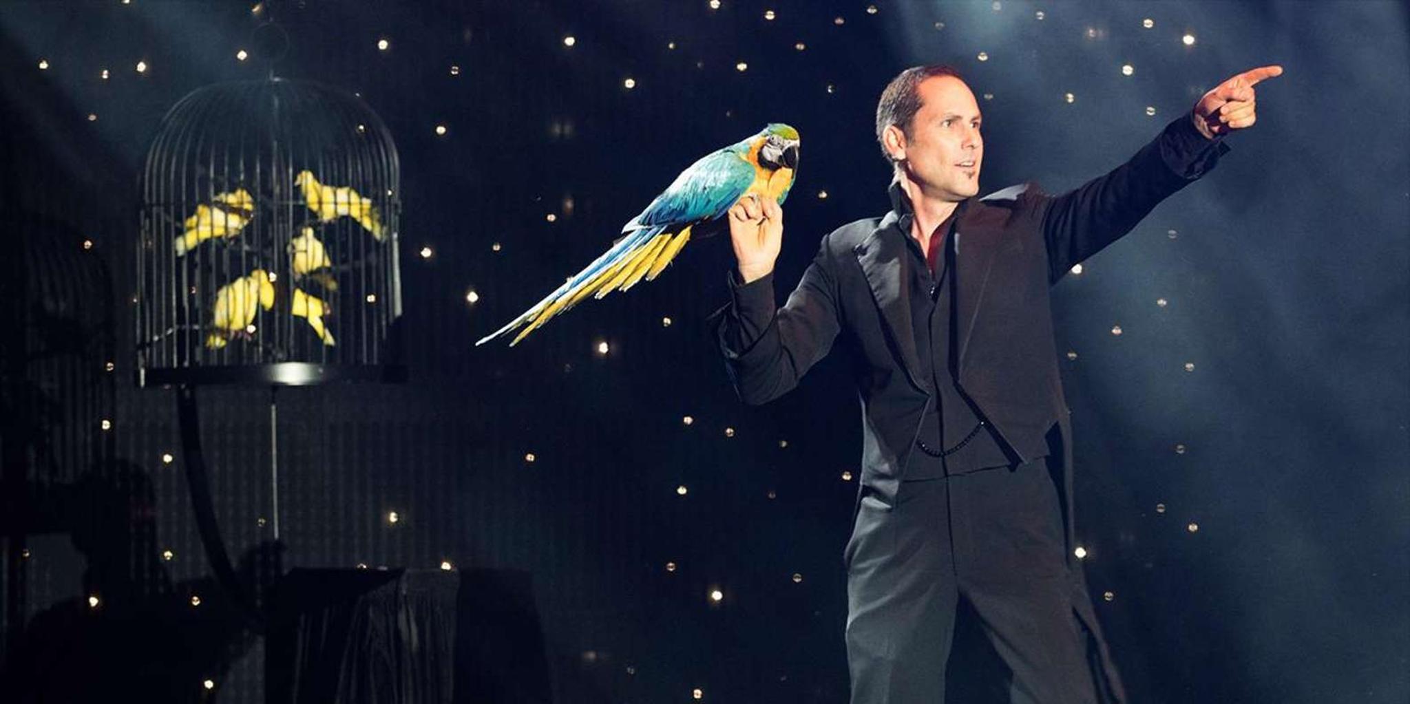 Las Vegas Variety Show - Image 5