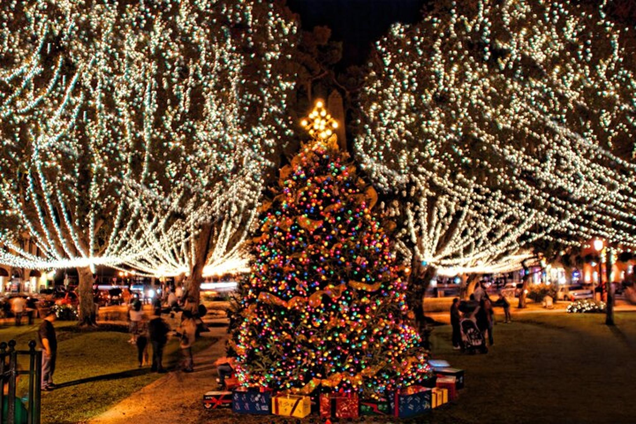 St. Augustine Nights of Lights Tour - Image 6