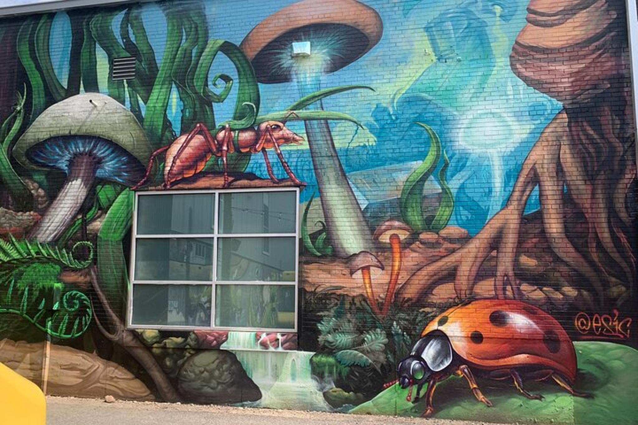 Denver Graffiti Tour in North RiNo - Image 3