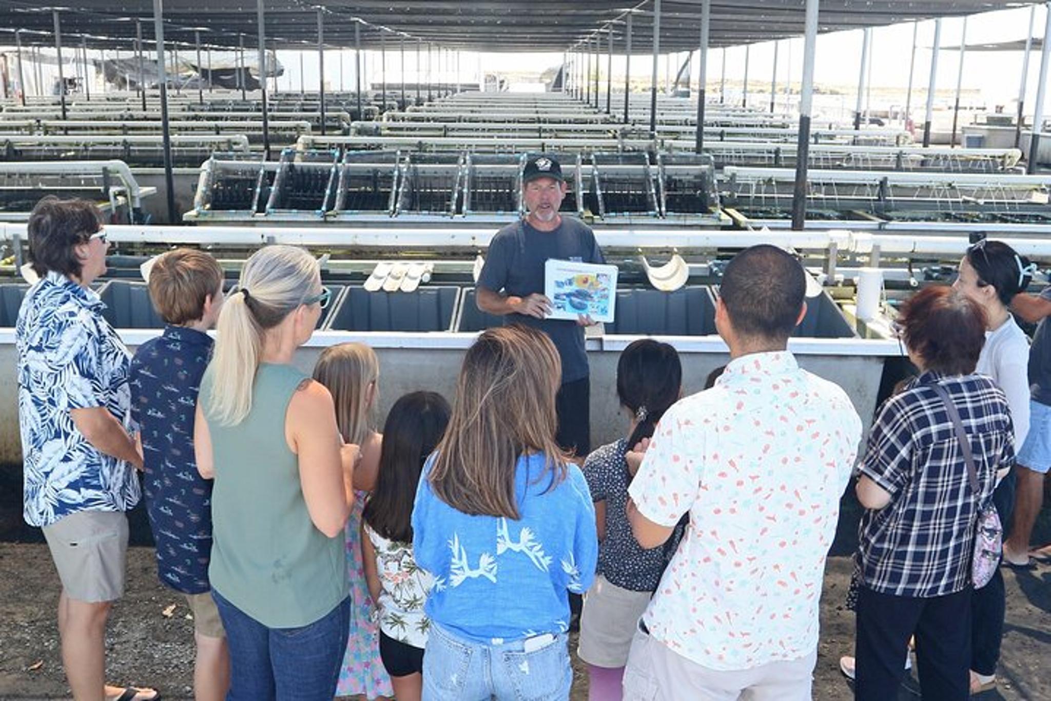 Big Island Abalone Farm Tour - Image 3