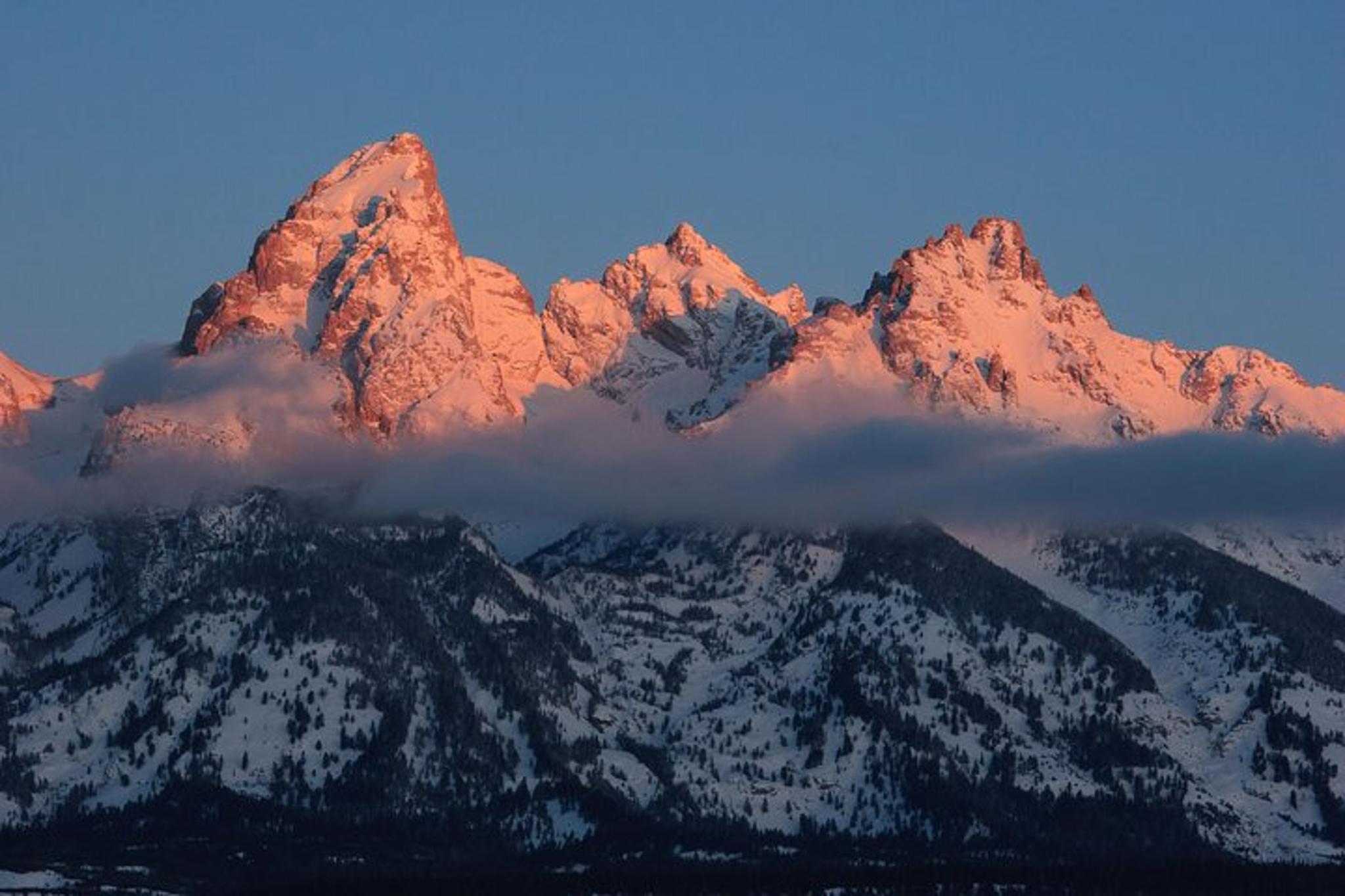 Jackson Hole Wildlife Safari - Image 2
