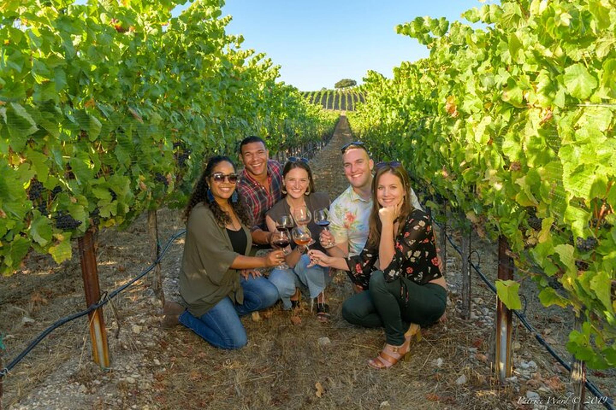 Carmel Valley Electric Bike Tour & Wine Tasting - Image 6