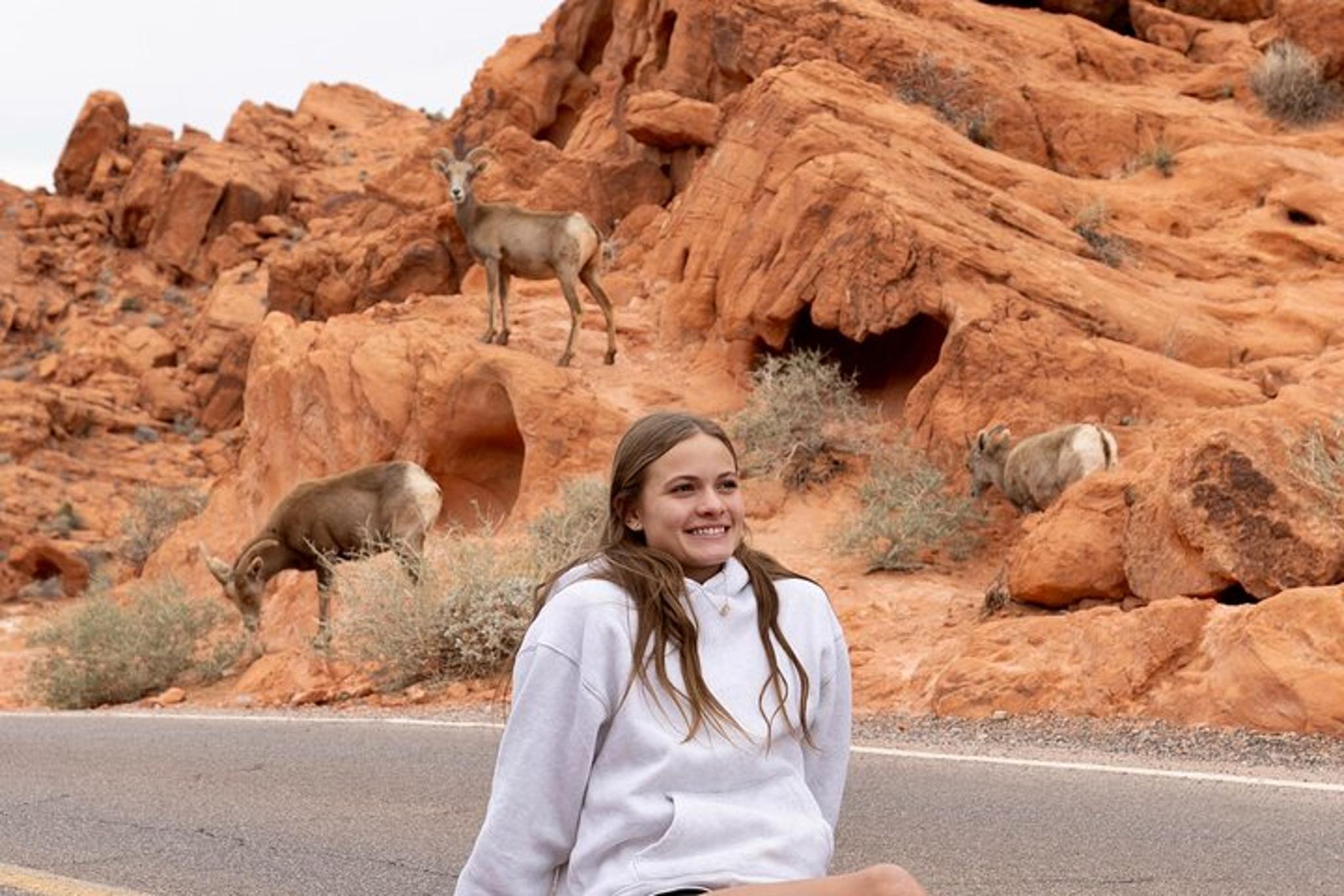 Las Vegas Valley of Fire and Red Rock Canyon Day Tour - Image 4