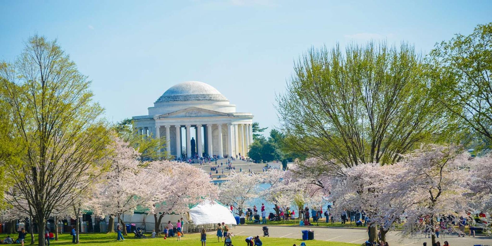Washington DC Hop-on Hop-off Sightseeing Tour - Image 3