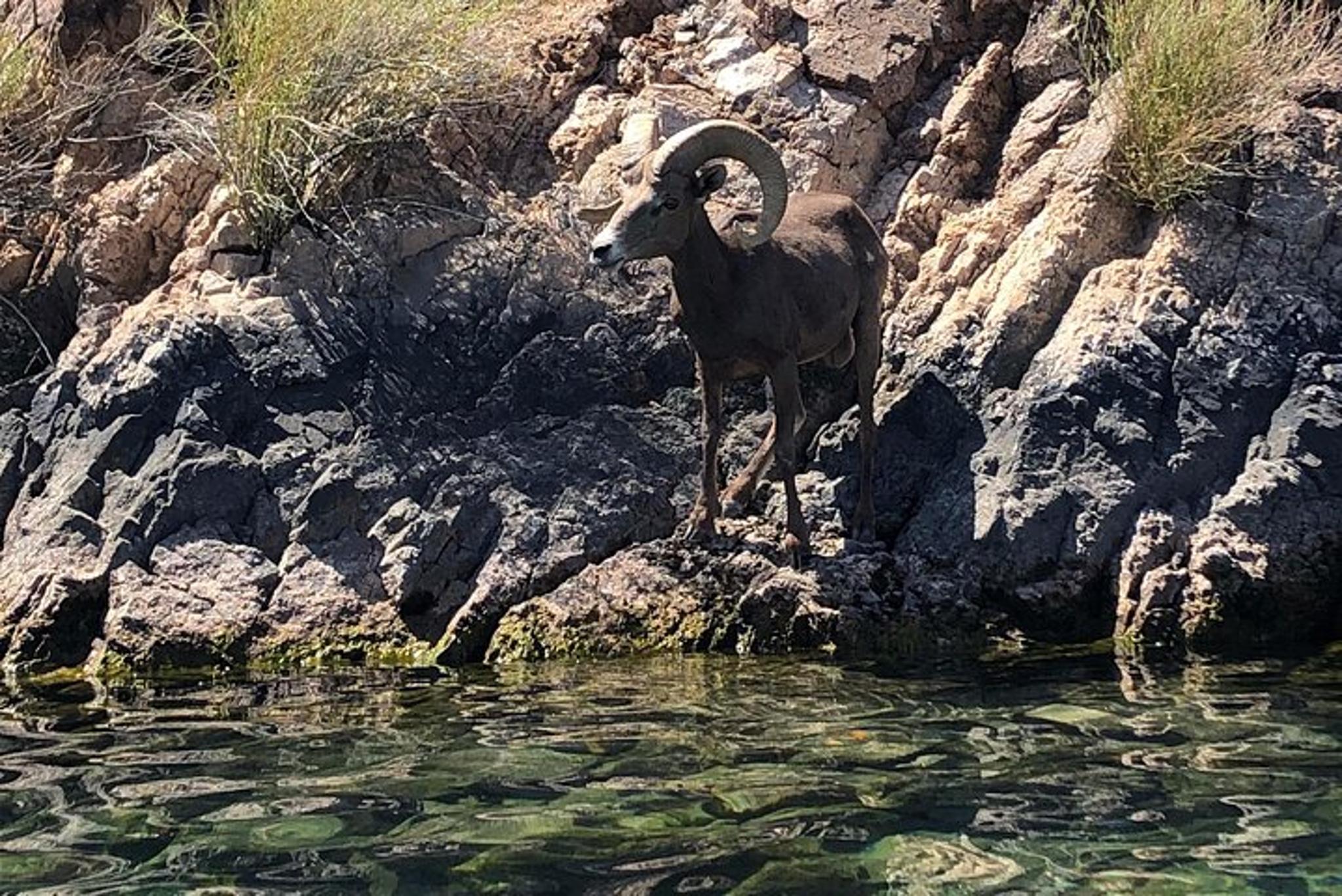 Willow Beach Emerald Cave Kayak Tour - Image 1