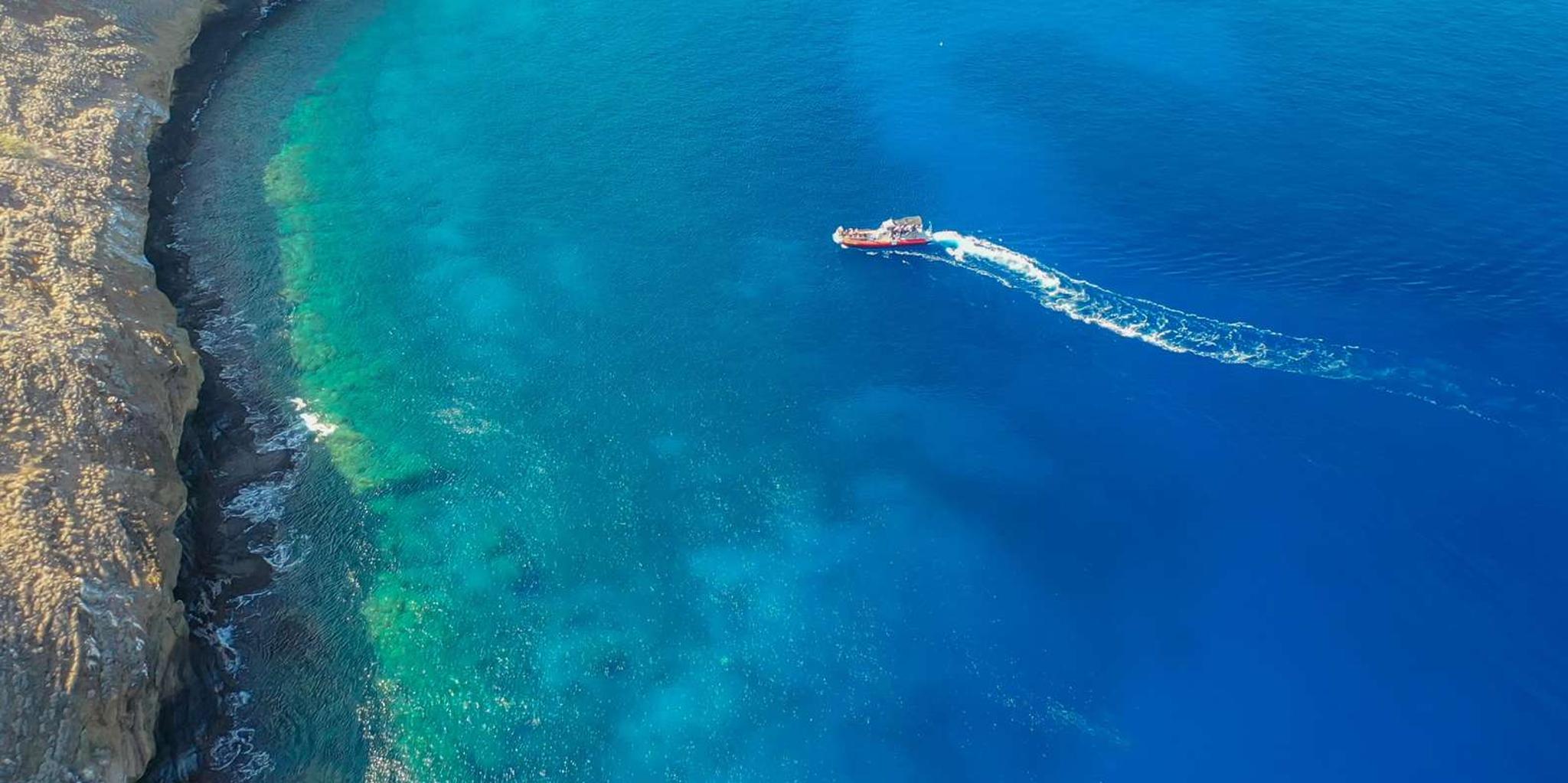 Kihei Molokini Crater and Turtle Town Snorkeling - Image 3