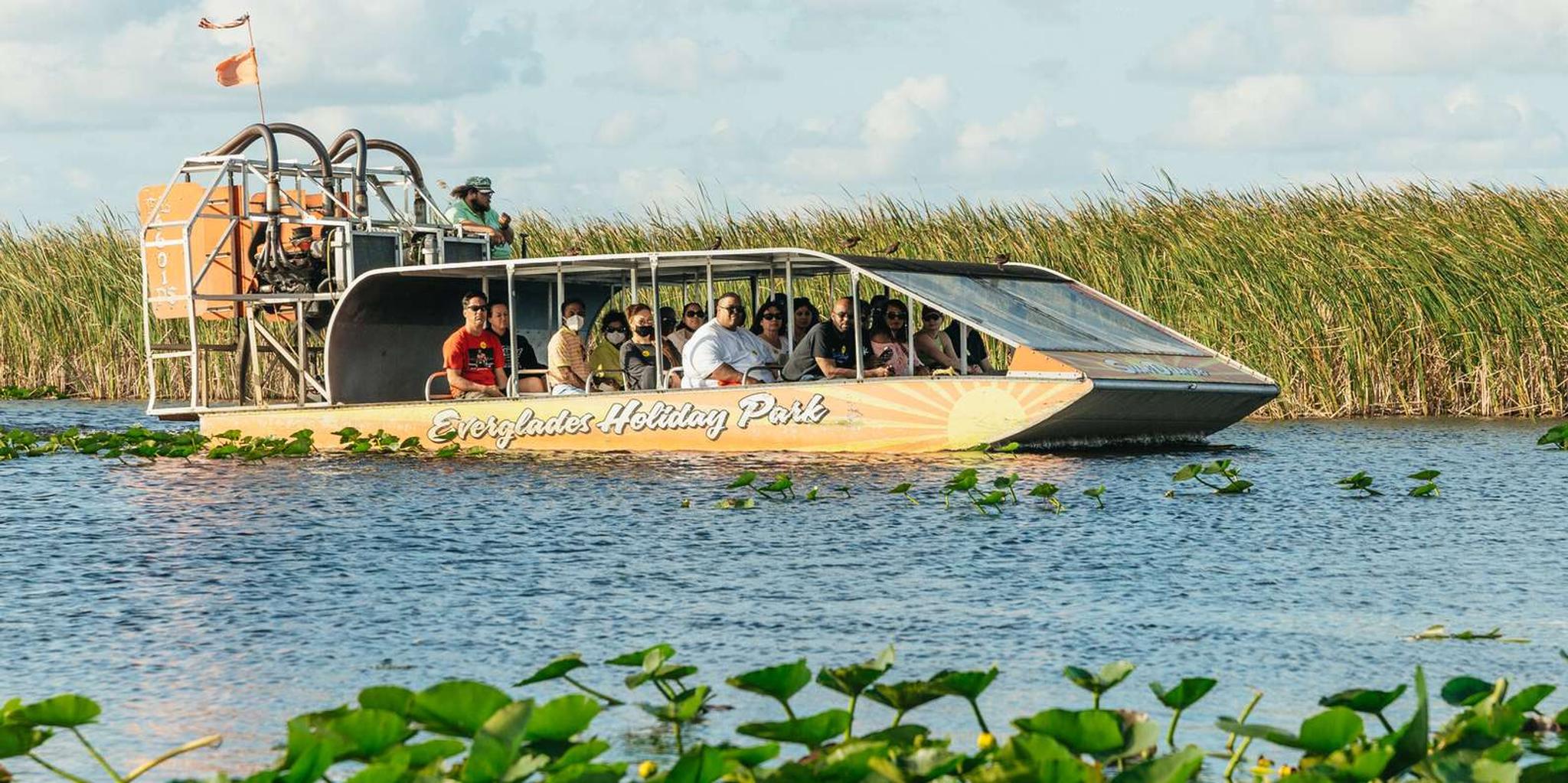 Miami Everglades Airboat Tour and Wildlife Show - Image 4