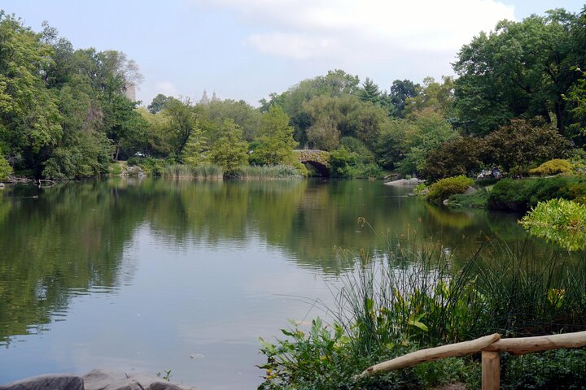 New York Central Park Adventure Tour 4 hr - Image 4