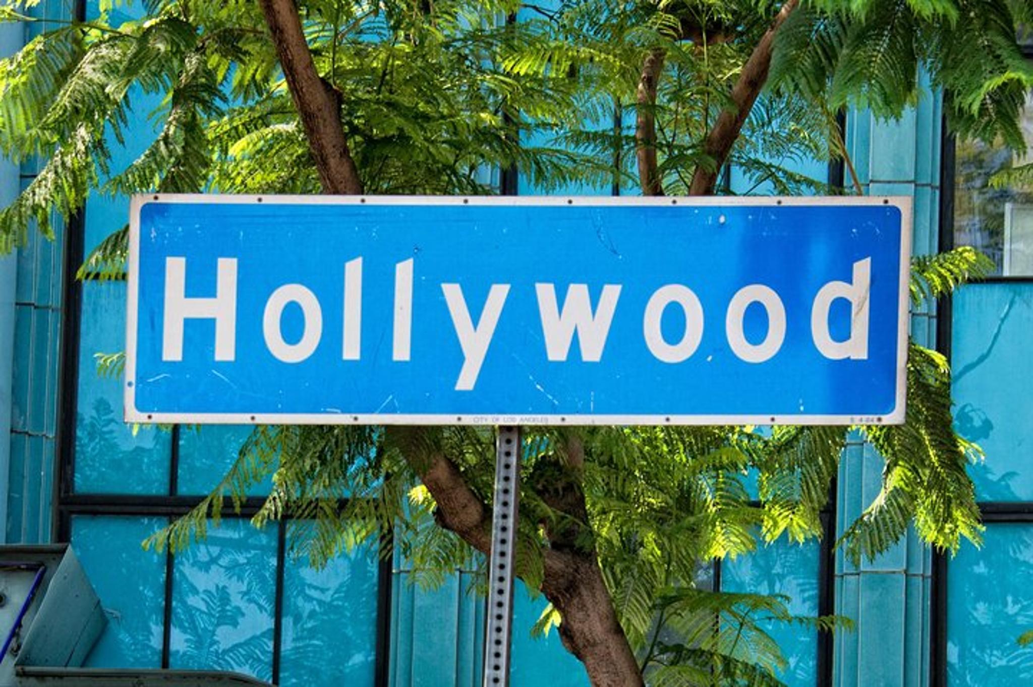 Anaheim Private Transfer to Hollywood - Image 2