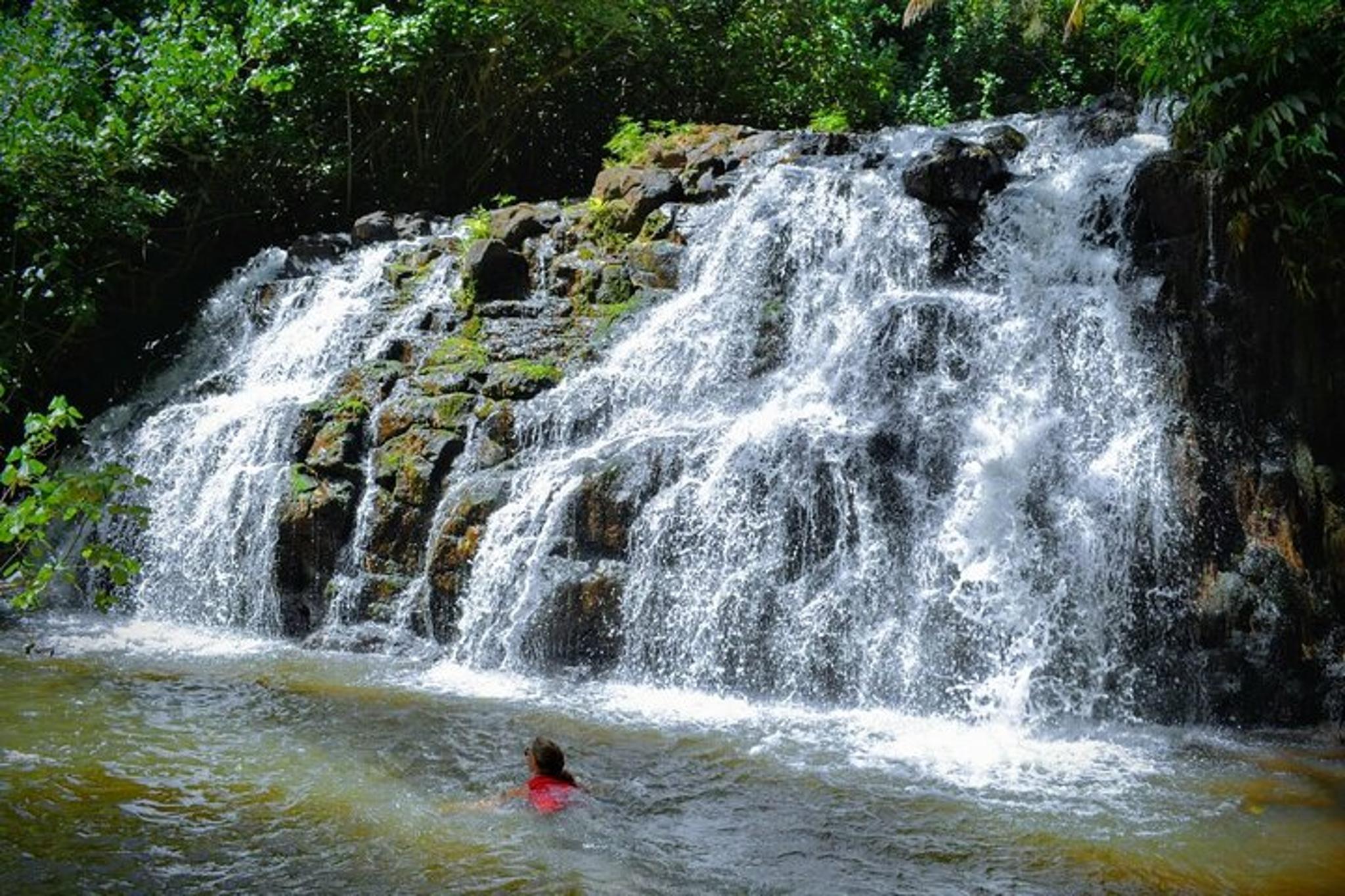 Lihue Waterfalls Hike and Swim - Image 1