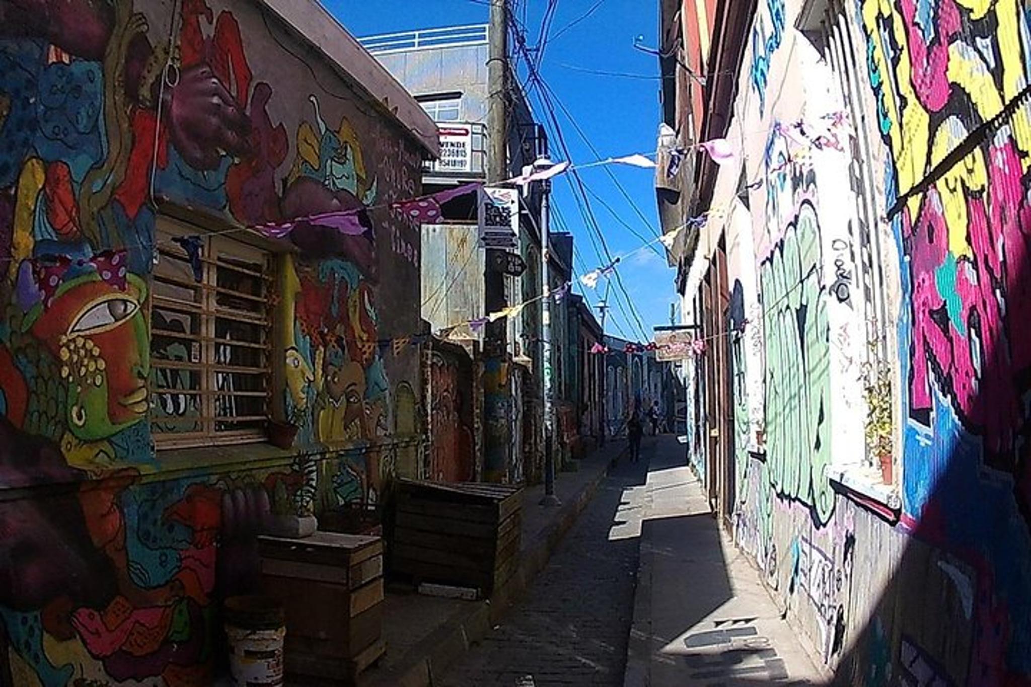 Valparaiso & Viña del Mar Museum Tour from Santiago - Image 3