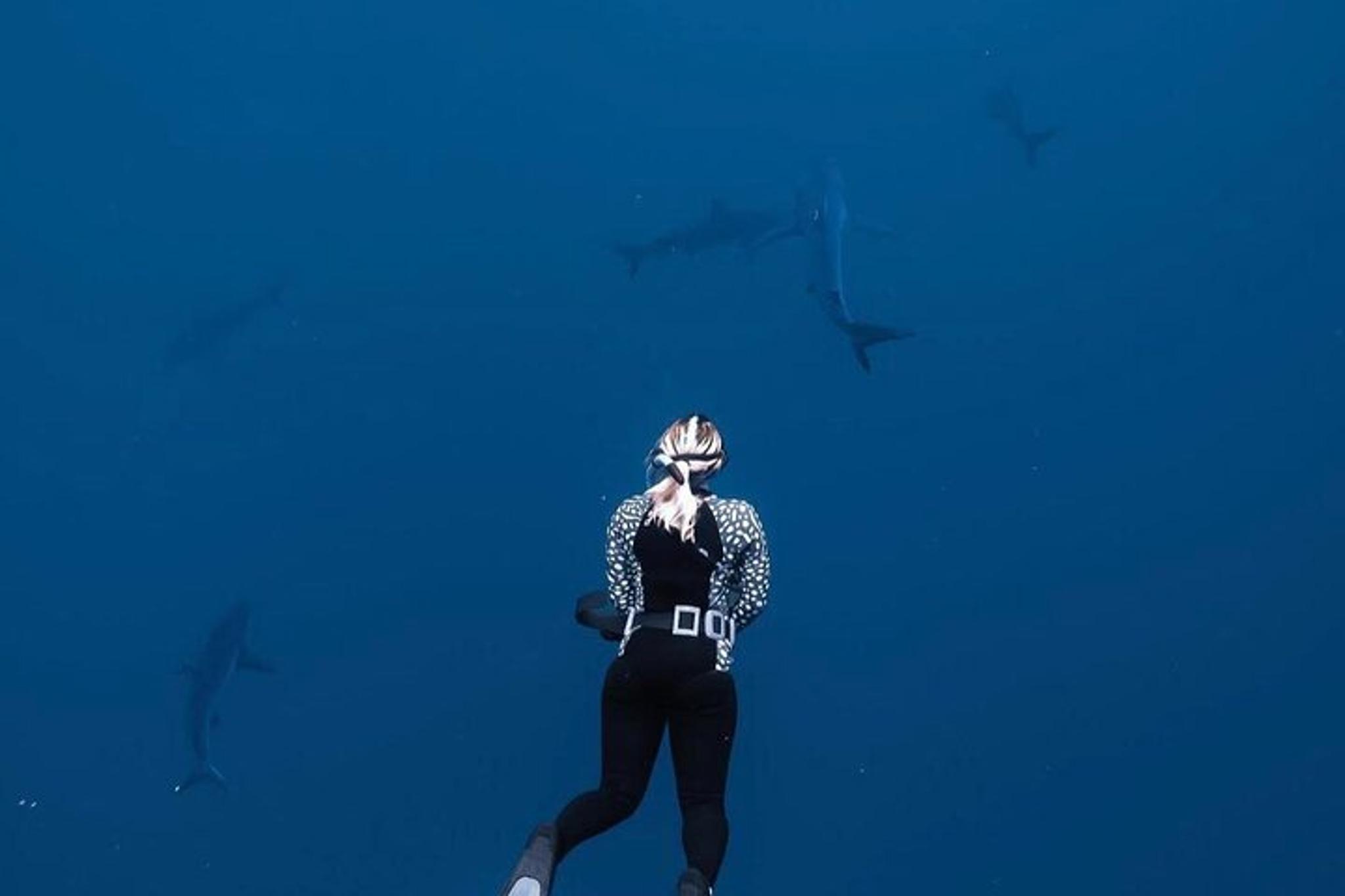 Oahu Shark Diving and Snorkeling - Image 4