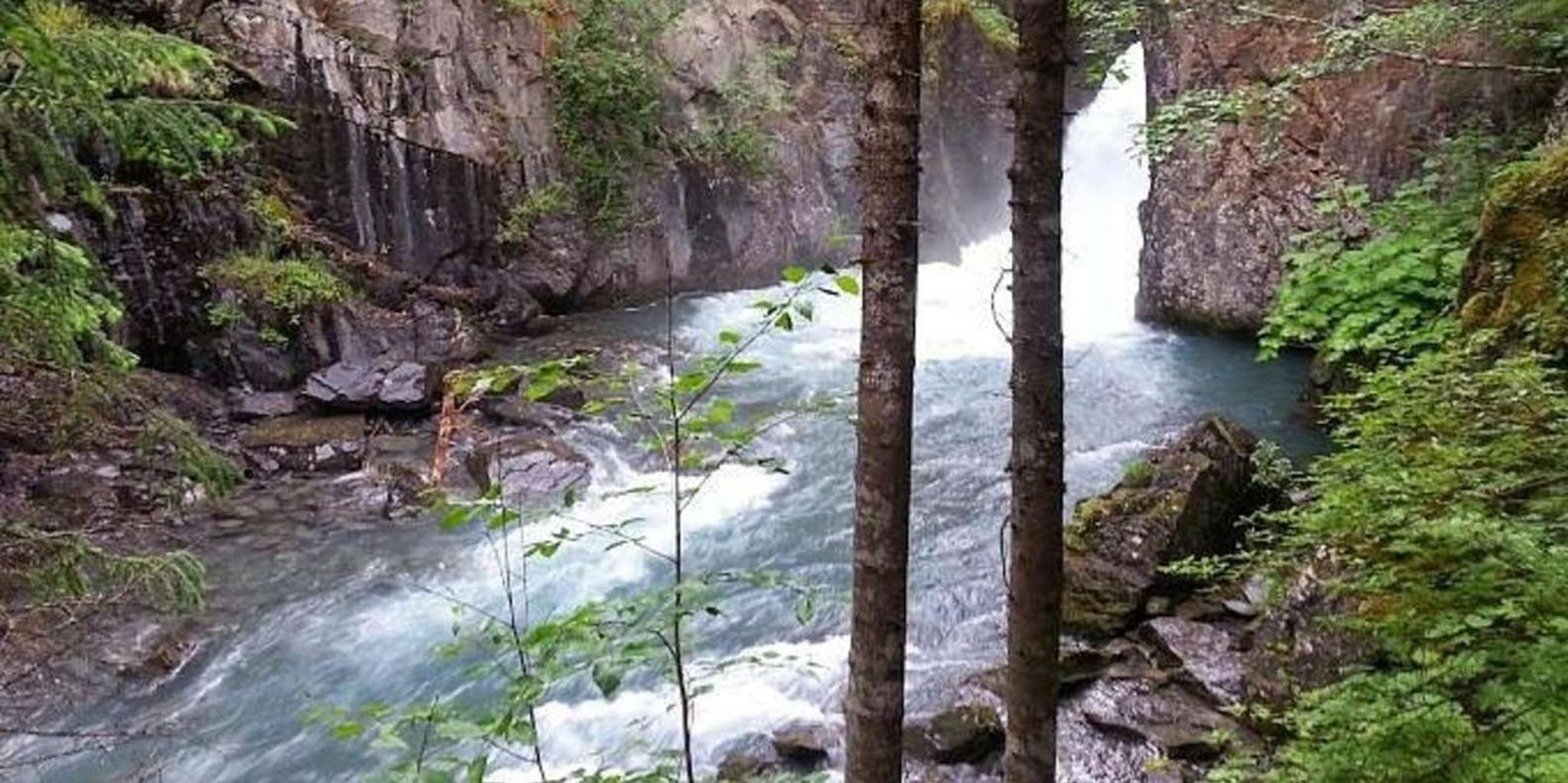 Bird Creek ATV Nature Tour & Hike in Chugach State Park - Image 6
