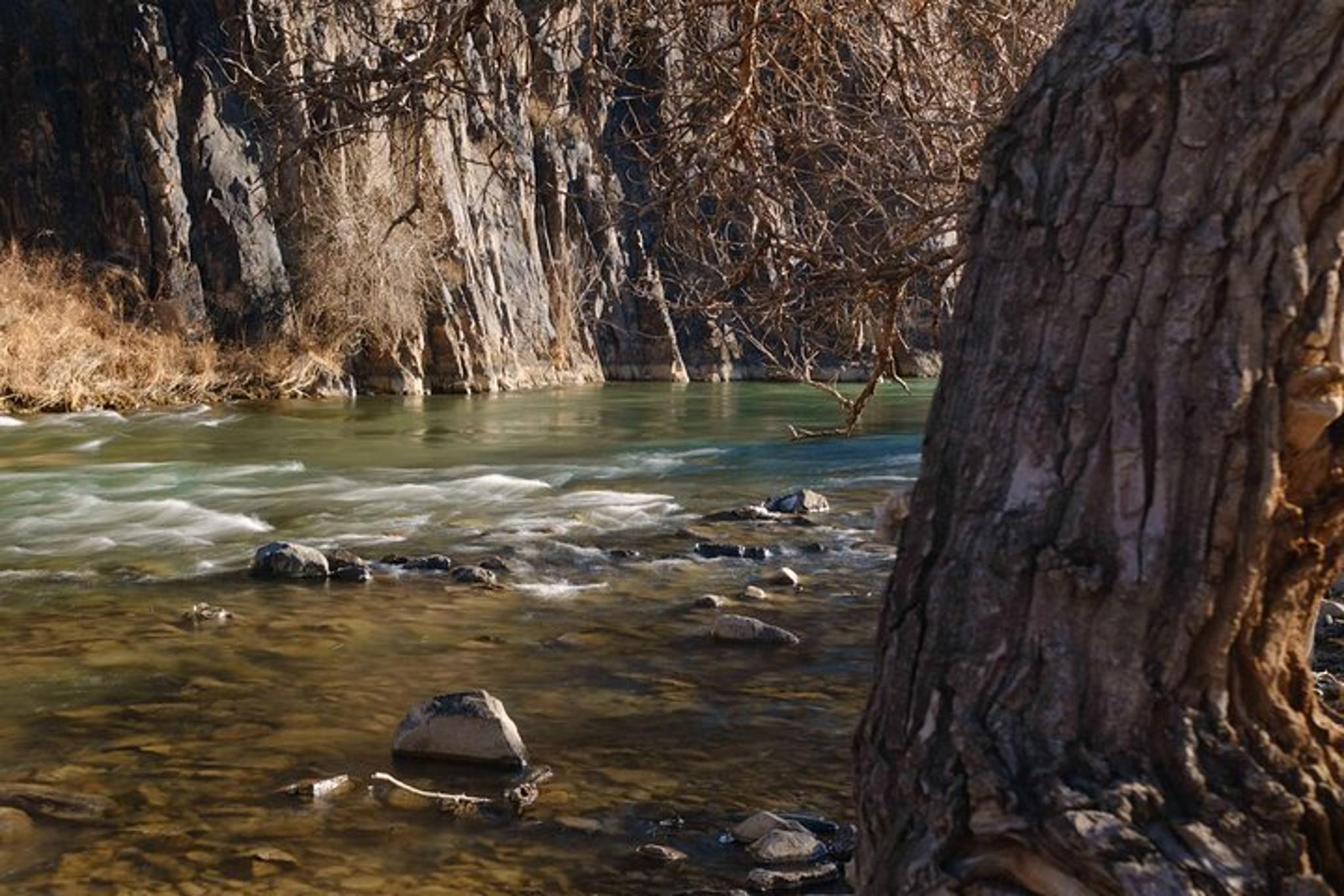Almaty Charyn Canyon and Kolsay Lake Day Tour - Image 5