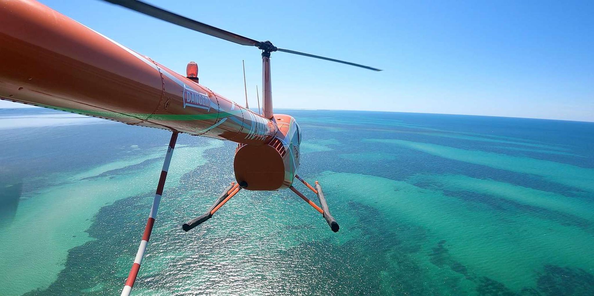 Key West Helicopter Eco Tour - Image 2