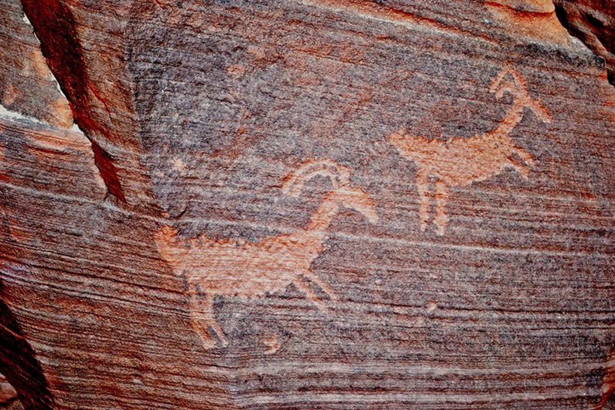 Kanab Wire Pass Slot Canyon Hiking Tour - Image 5