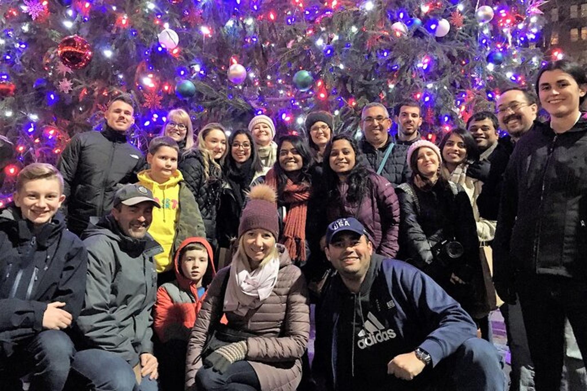New York Holiday Lights Walking Tour - Image 2