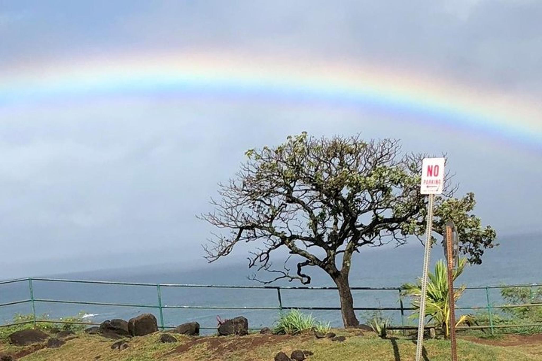 Maui Iao Valley, Distillery, and Lavender Farm Tour - Image 2