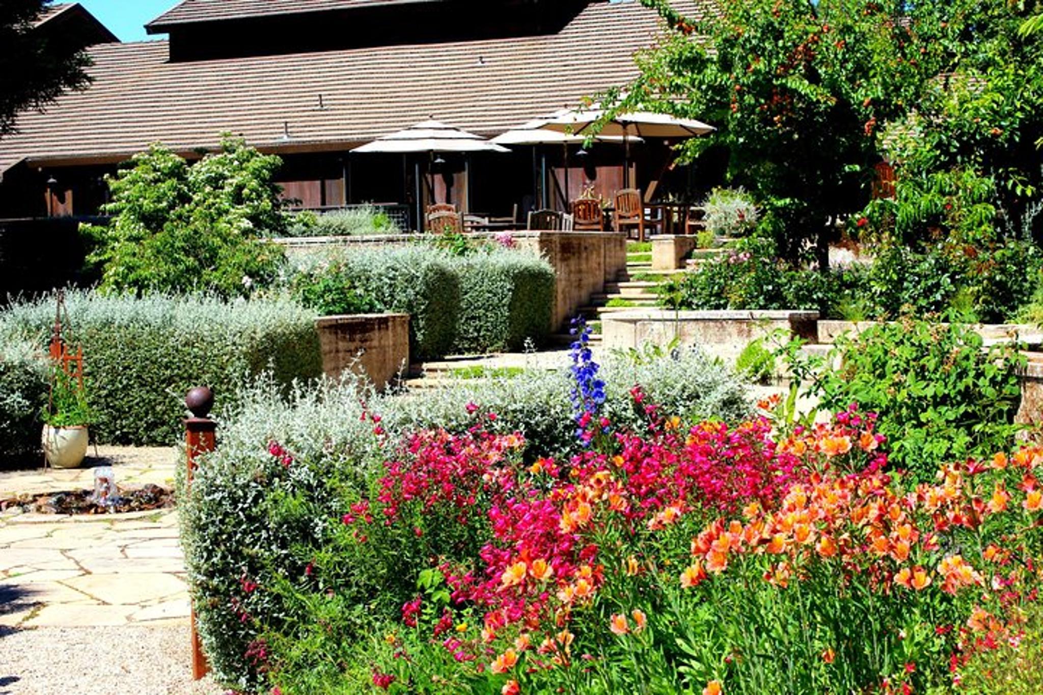 San Francisco Russian River Wine Tour in XL SUV - Image 3