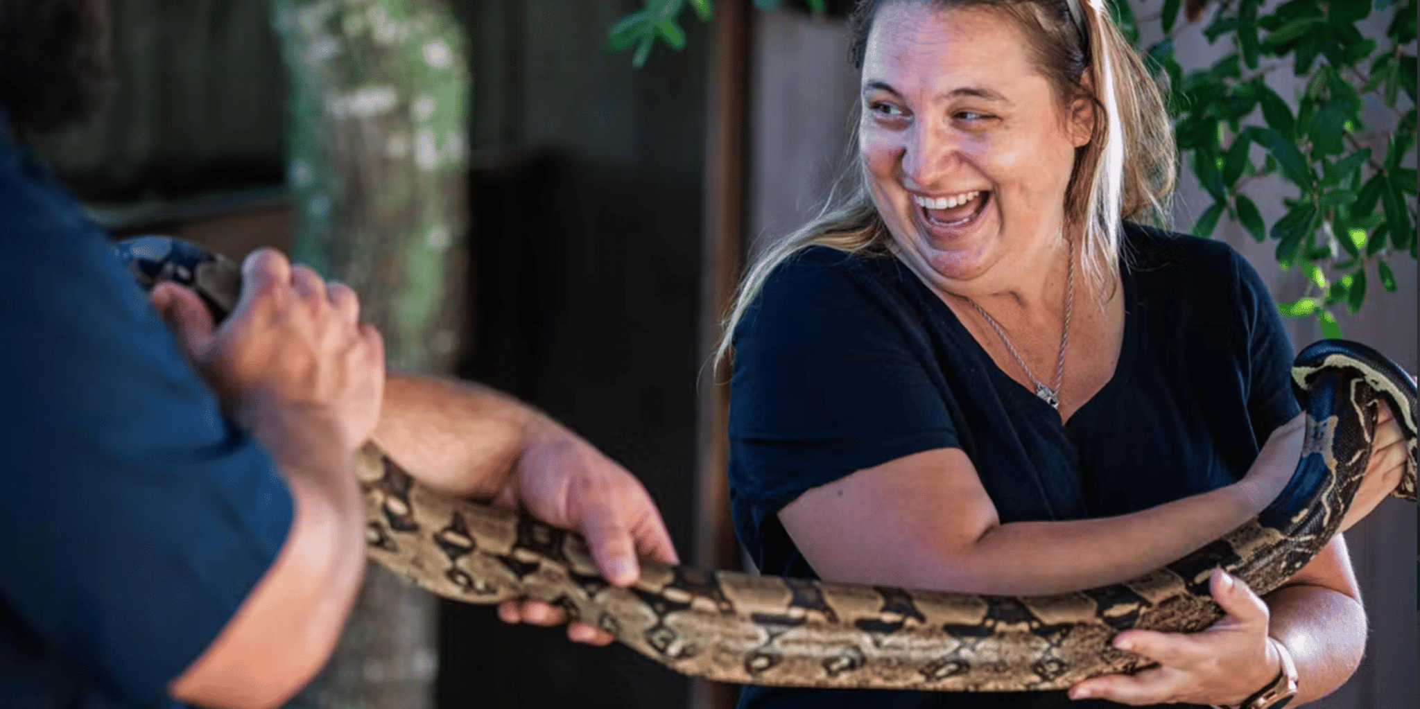 Florida Everglades Airboat and Reptile Exhibit Tour - Image 4