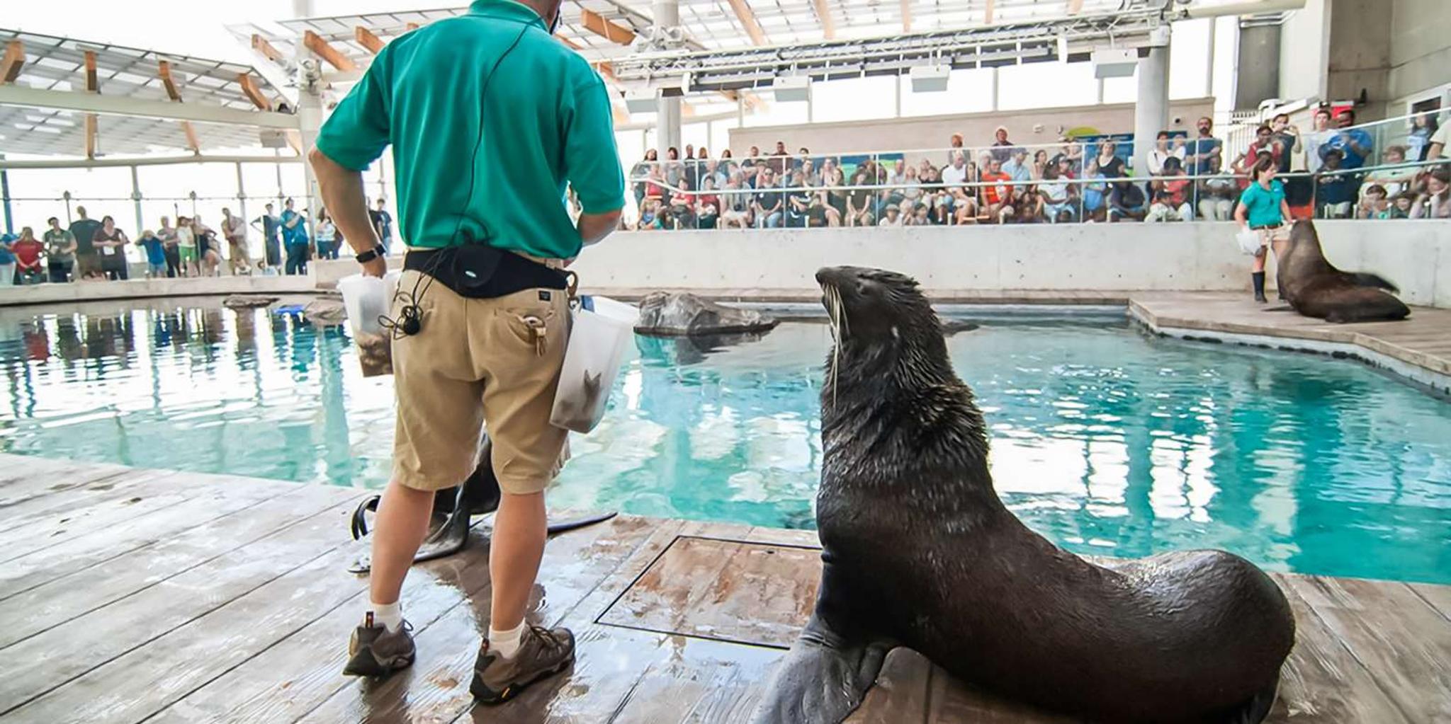 Boston New England Aquarium Tour 1 hr - Image 3