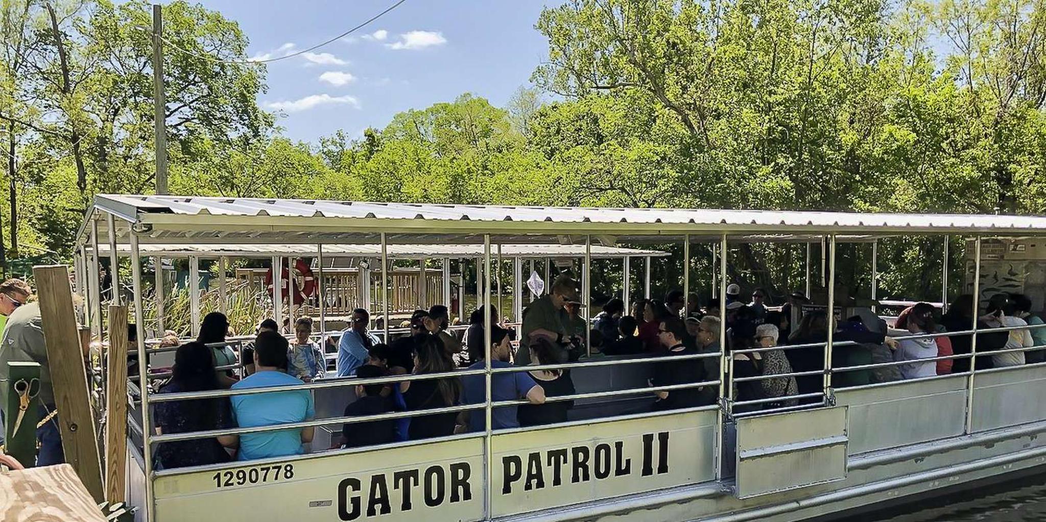 New Orleans Bayou Swamp and Oak Alley Plantation Tour
