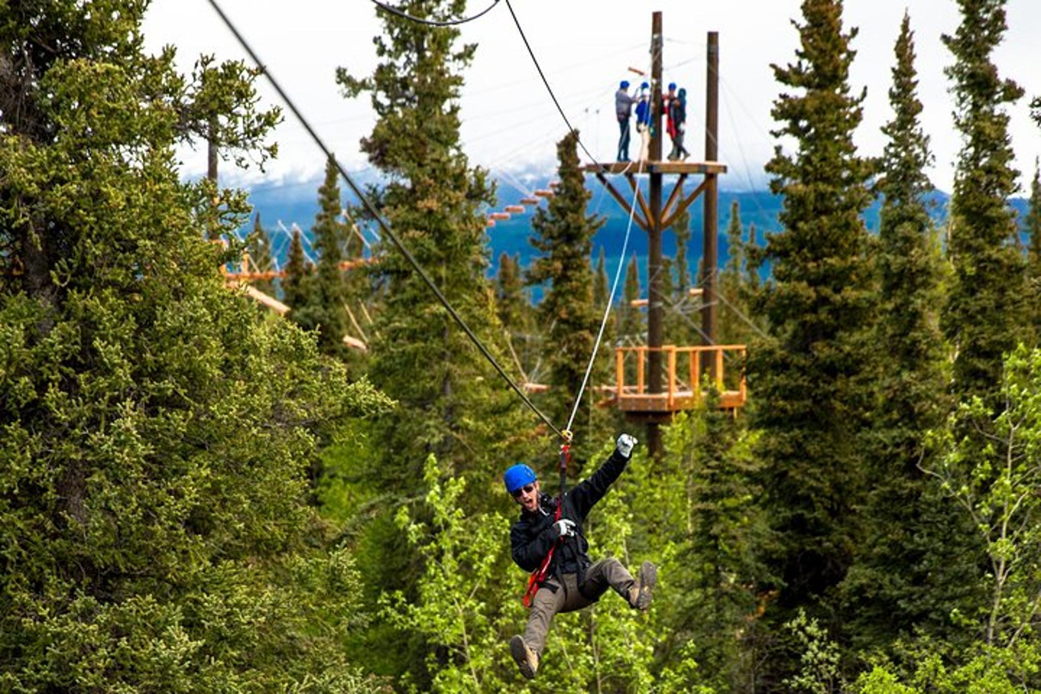Denali Zipline Adventure - Image 2