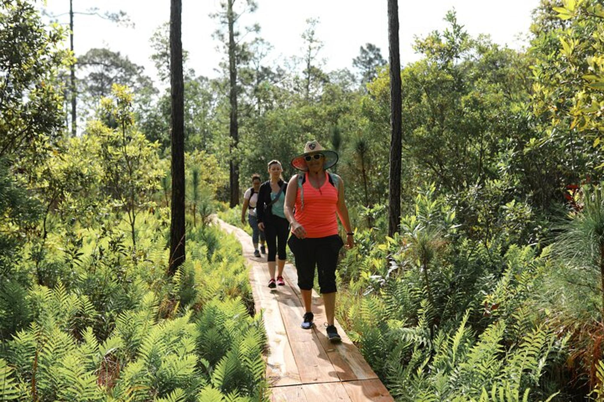 Central Florida Nature Walk and Yoga Class - Image 3