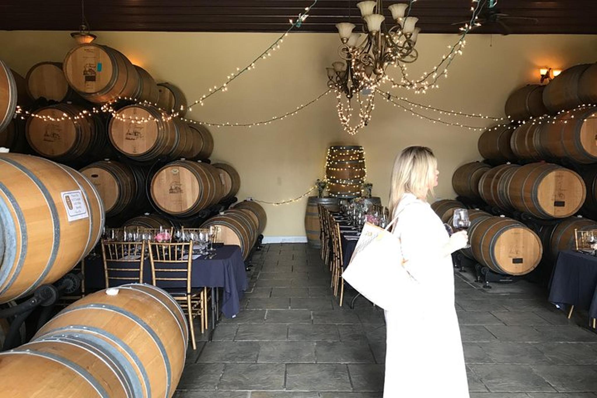 Washington DC Virginia Winery Wine Tasting Tour - Image 4