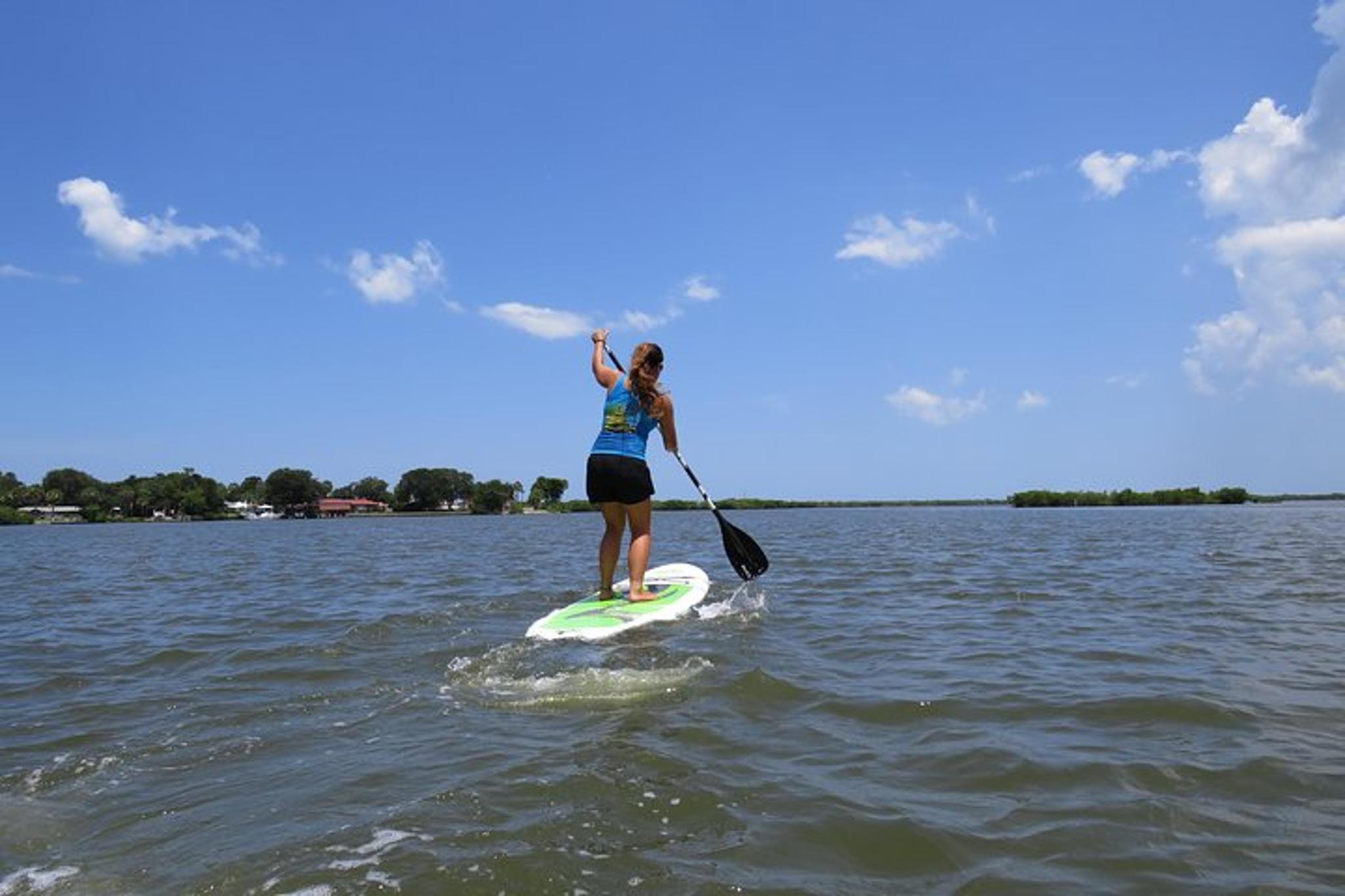 Rose Bay Stand Up Paddle Board Rental - Image 3