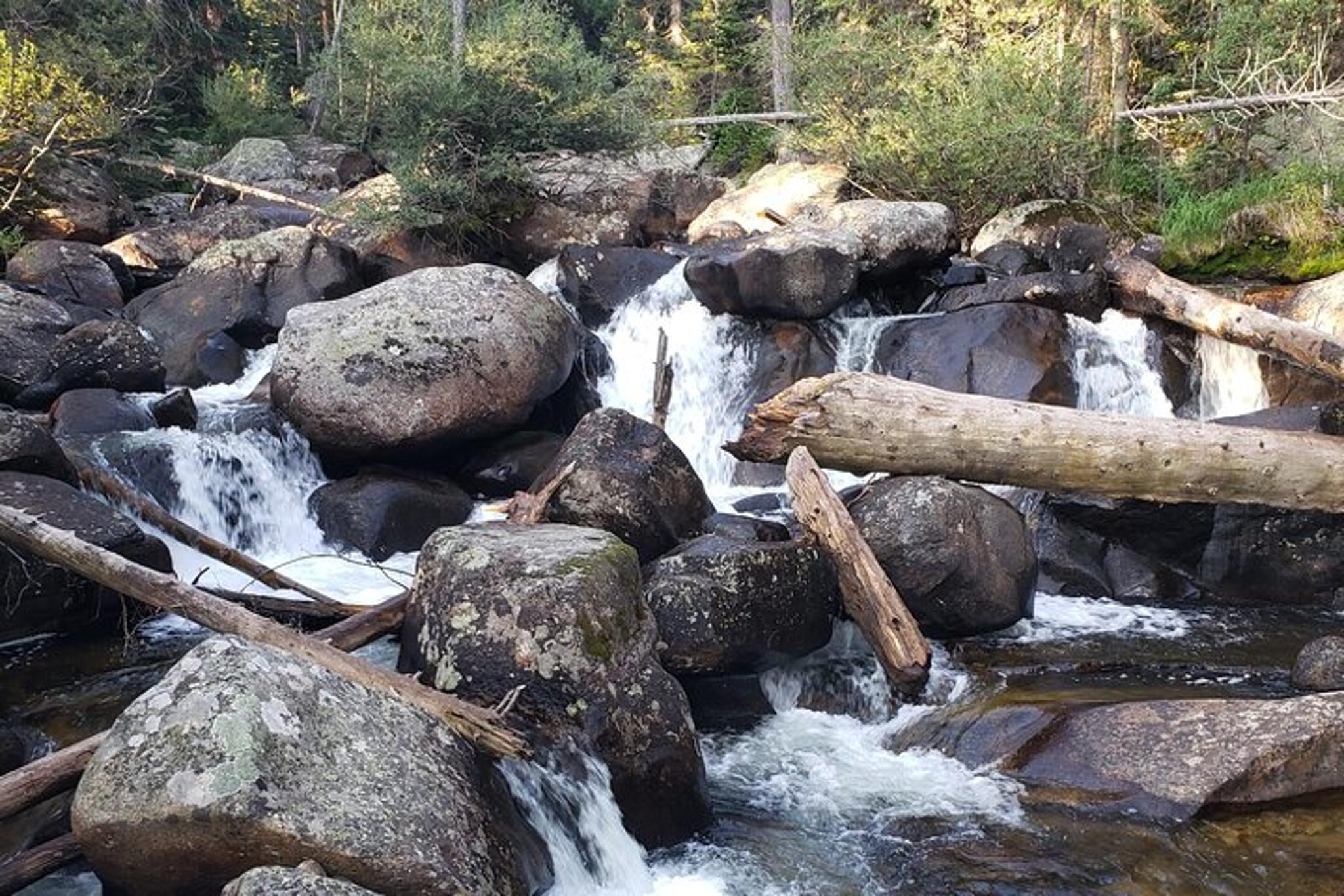 Rocky Mountain National Park Women's Hike to Ouzel Falls - Image 2