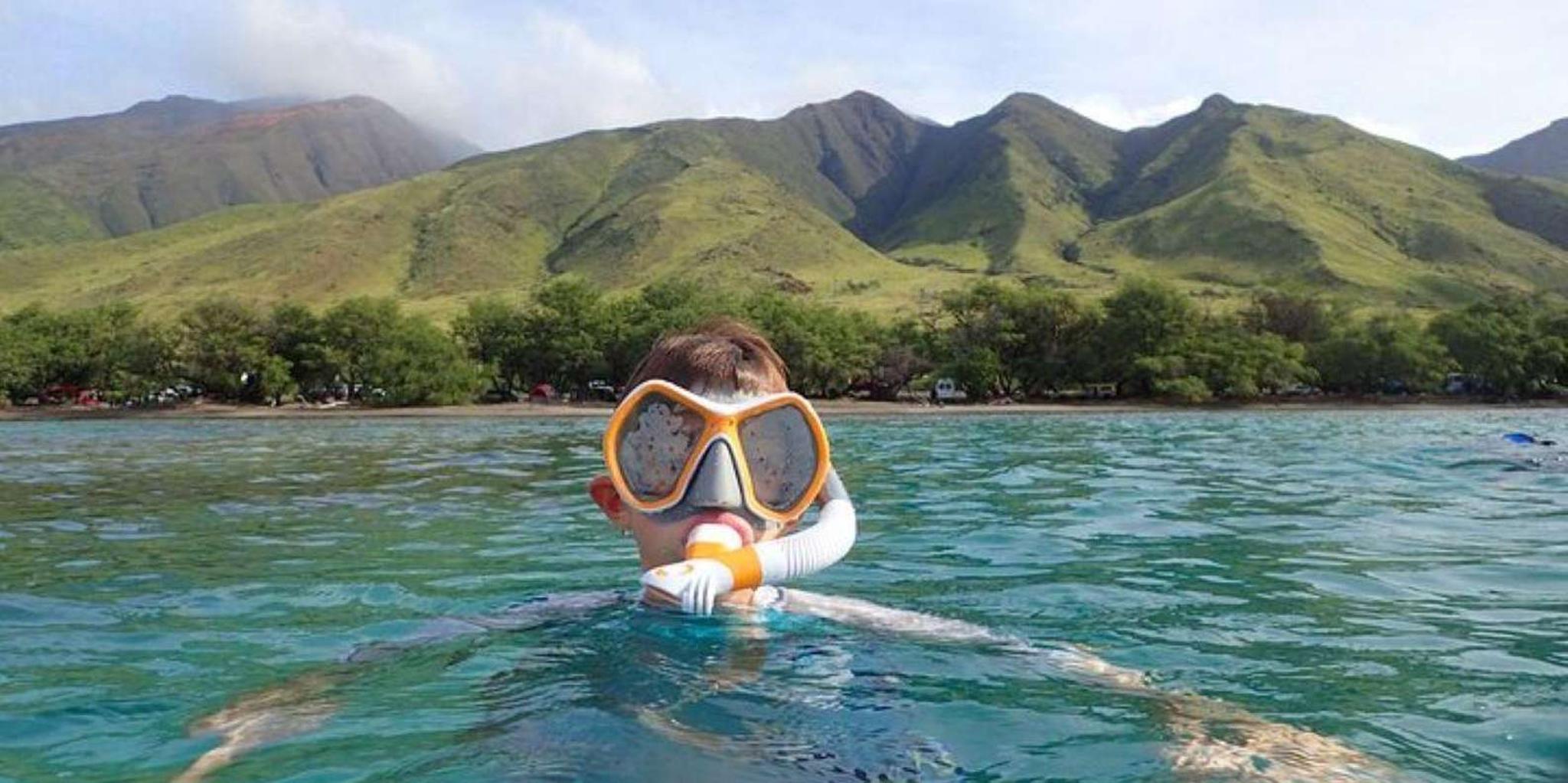 Maui Snorkeling Tour with Gear and Instructor 1.5 hr - Image 5