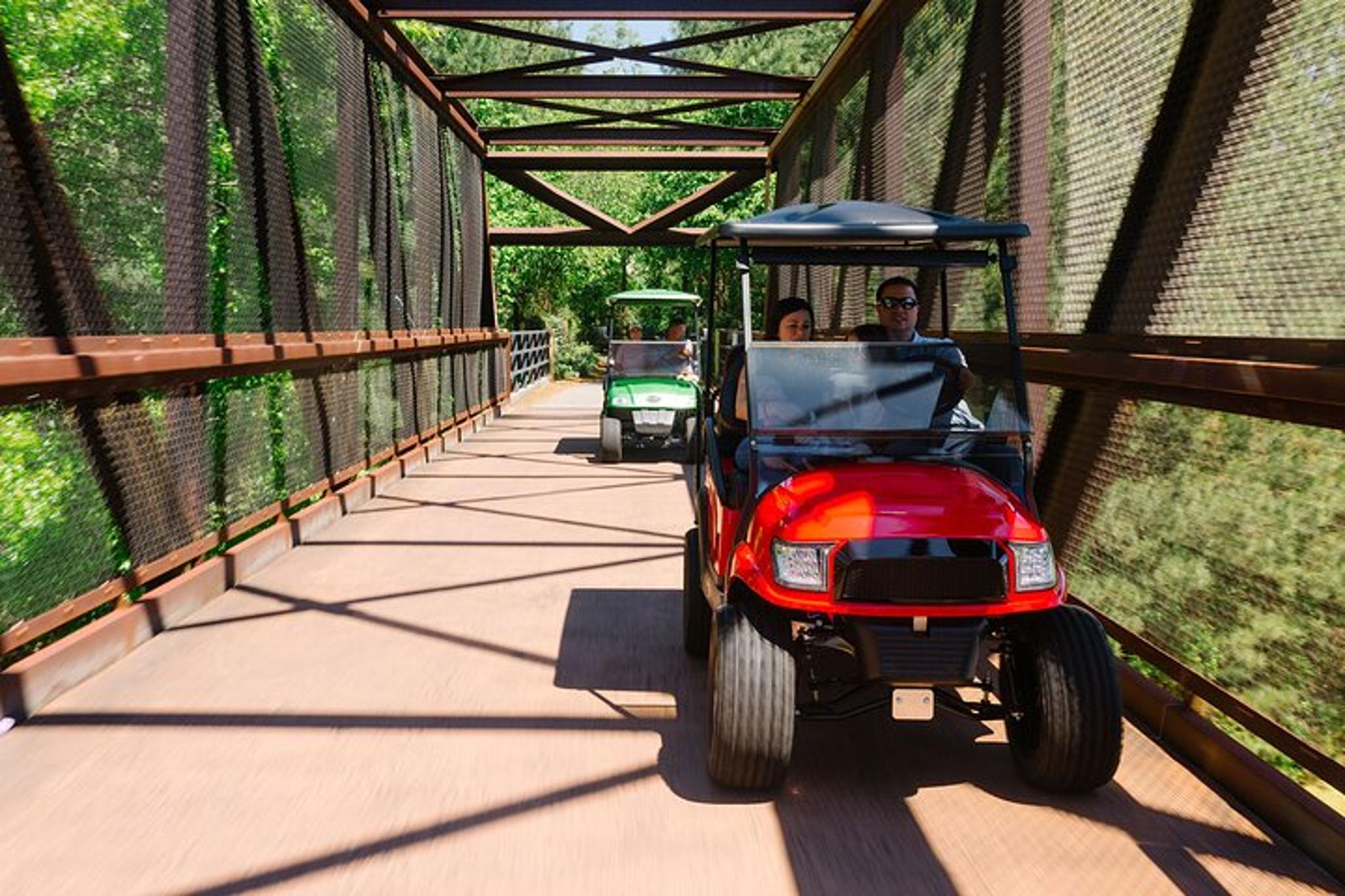 Peachtree City Golf Cart Tour - Image 2