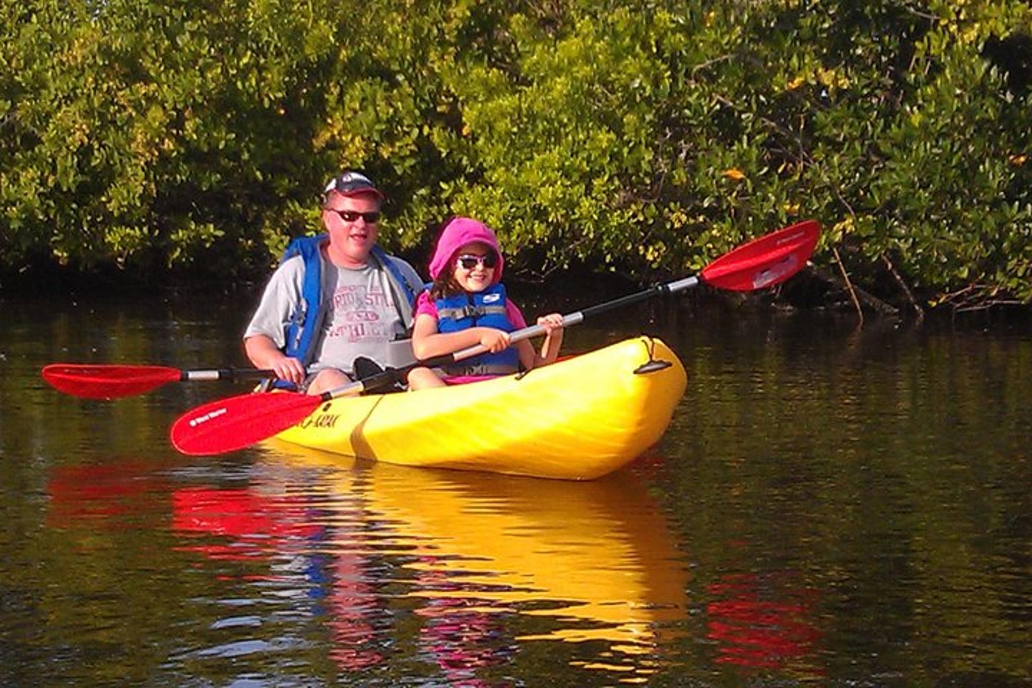 Brevard County Kayak Tour with Manatee & Dolphin Sightings - Image 2