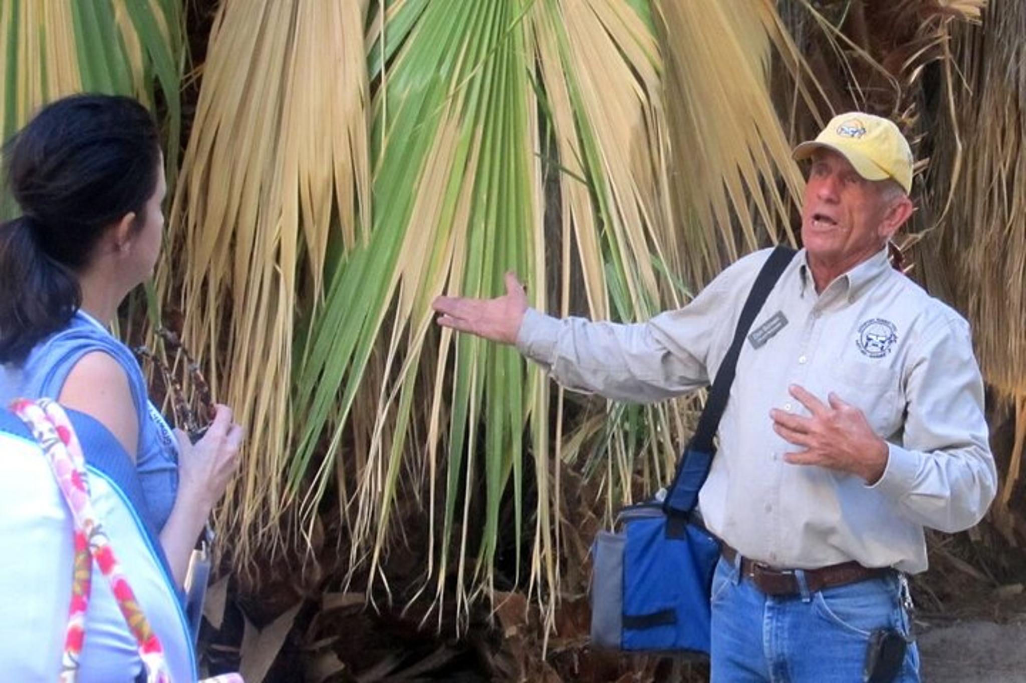 Joshua Tree National Park Scenic Tour - Image 4
