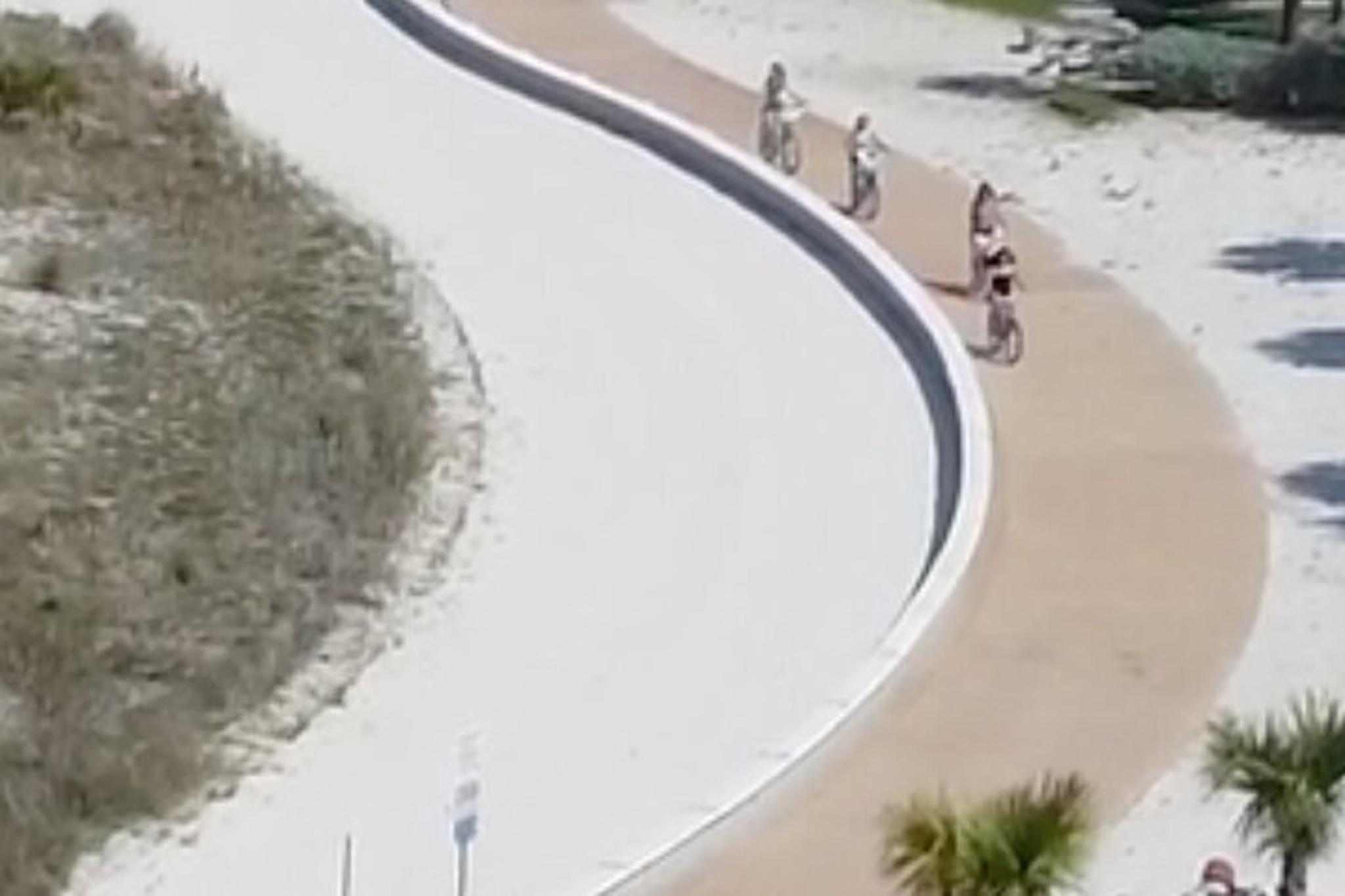 Treasure Island Bicycle Rental - Image 3