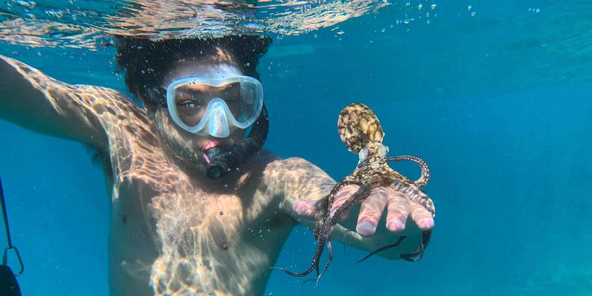 Maui E-Scooter Snorkeling Tour at Turtle Town - Image 4